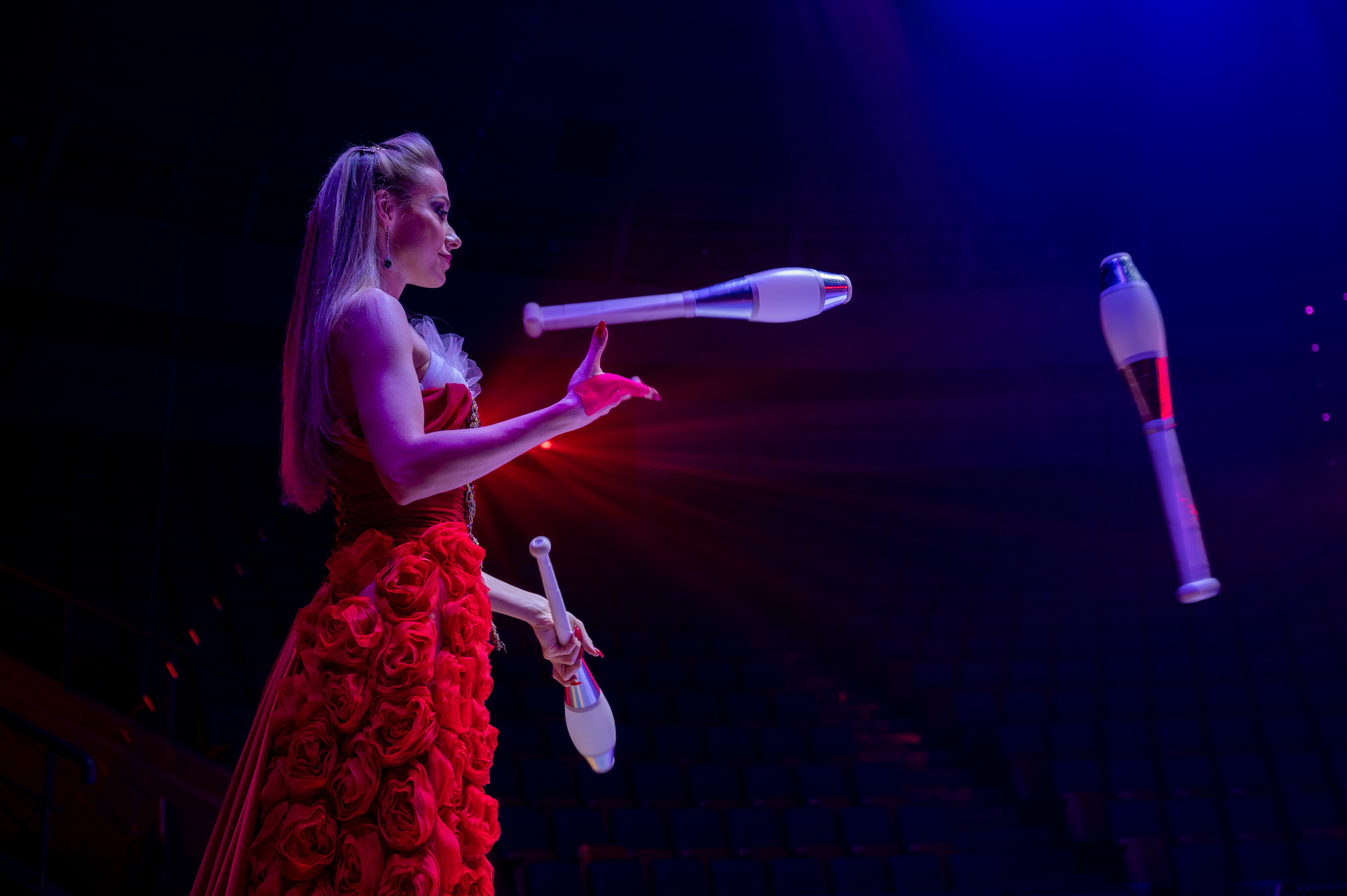 Цирк 🎪. Главная