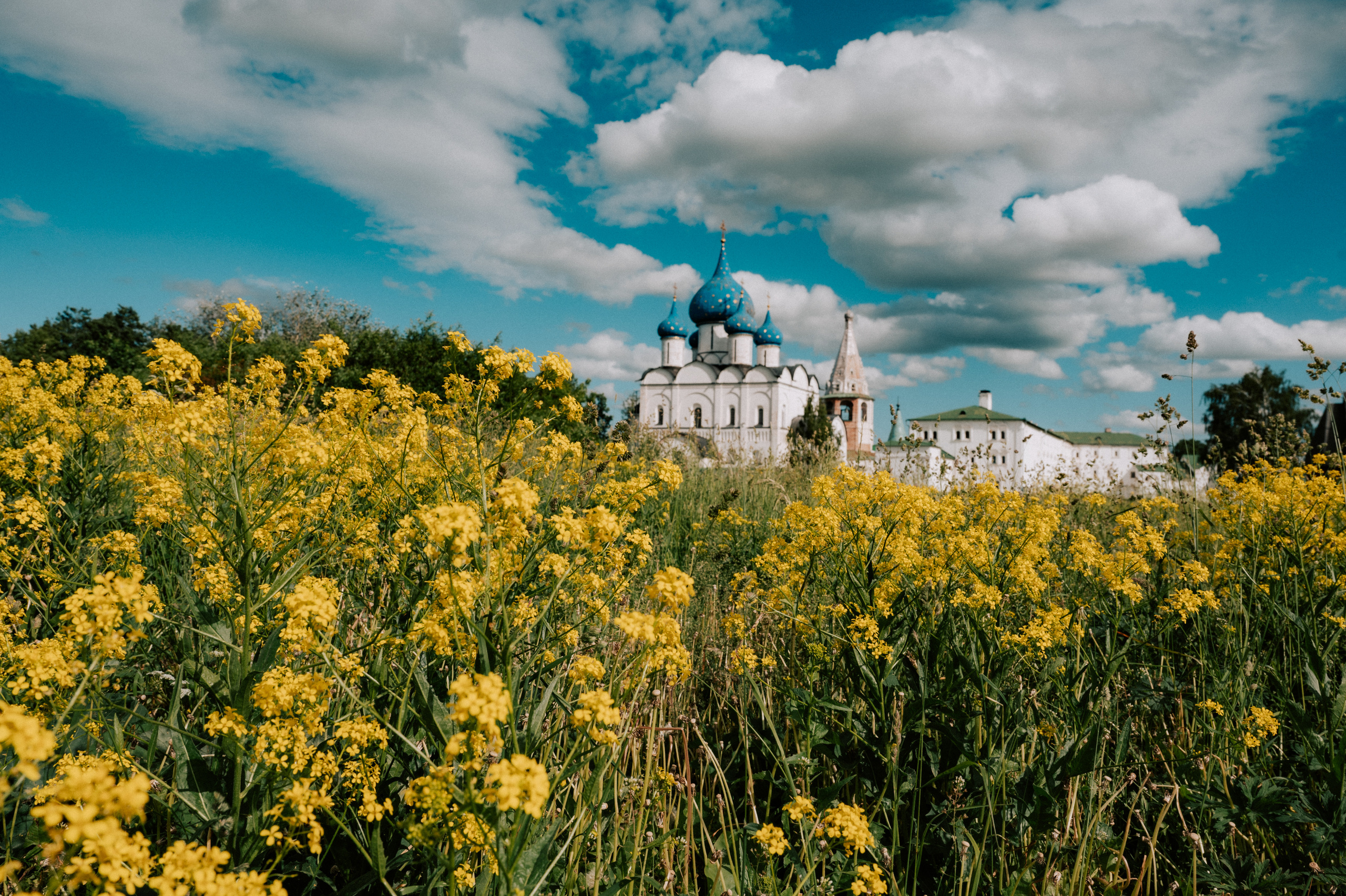 Прогулочная. Главная
