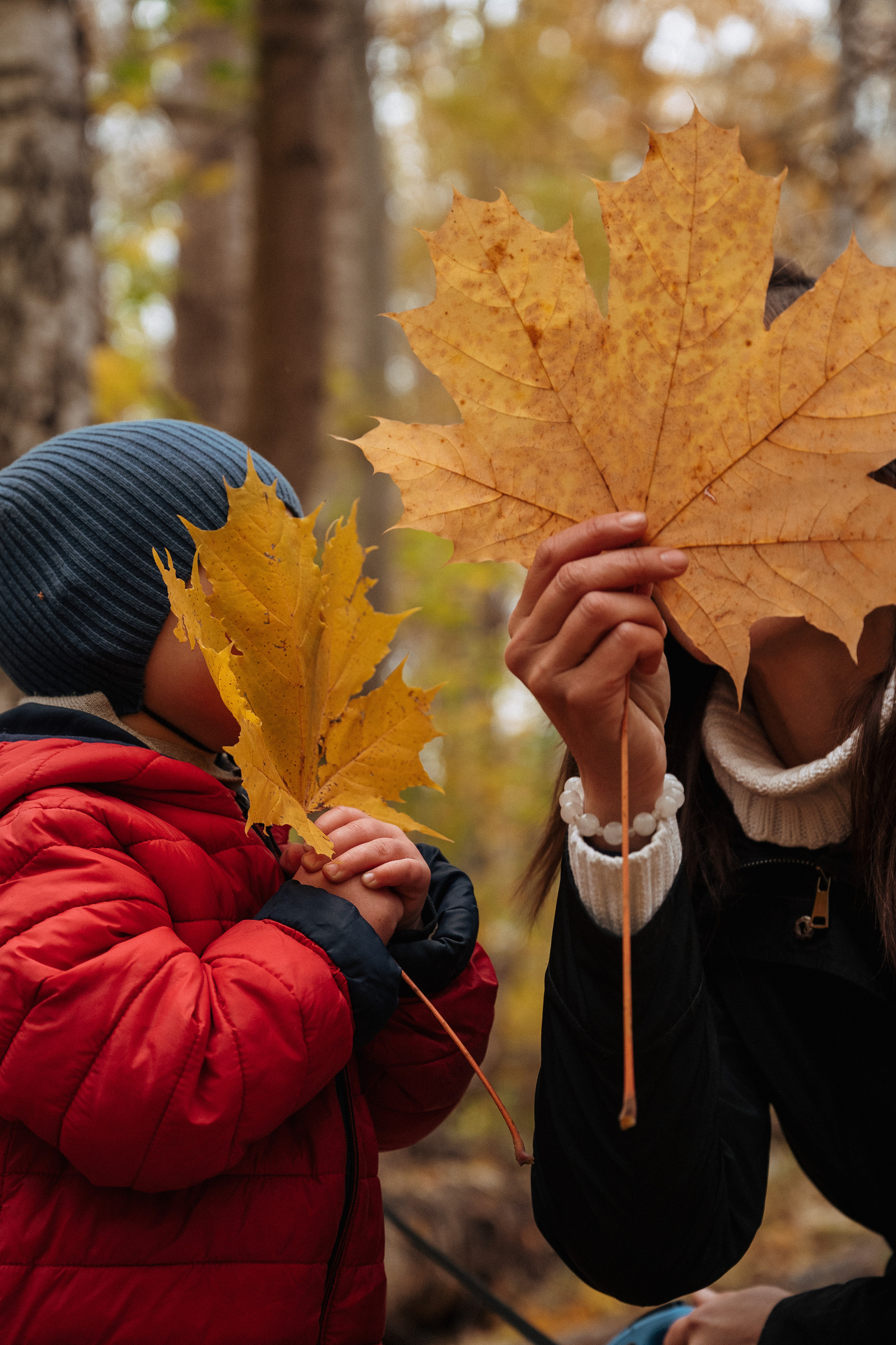 Прогулочная. Главная