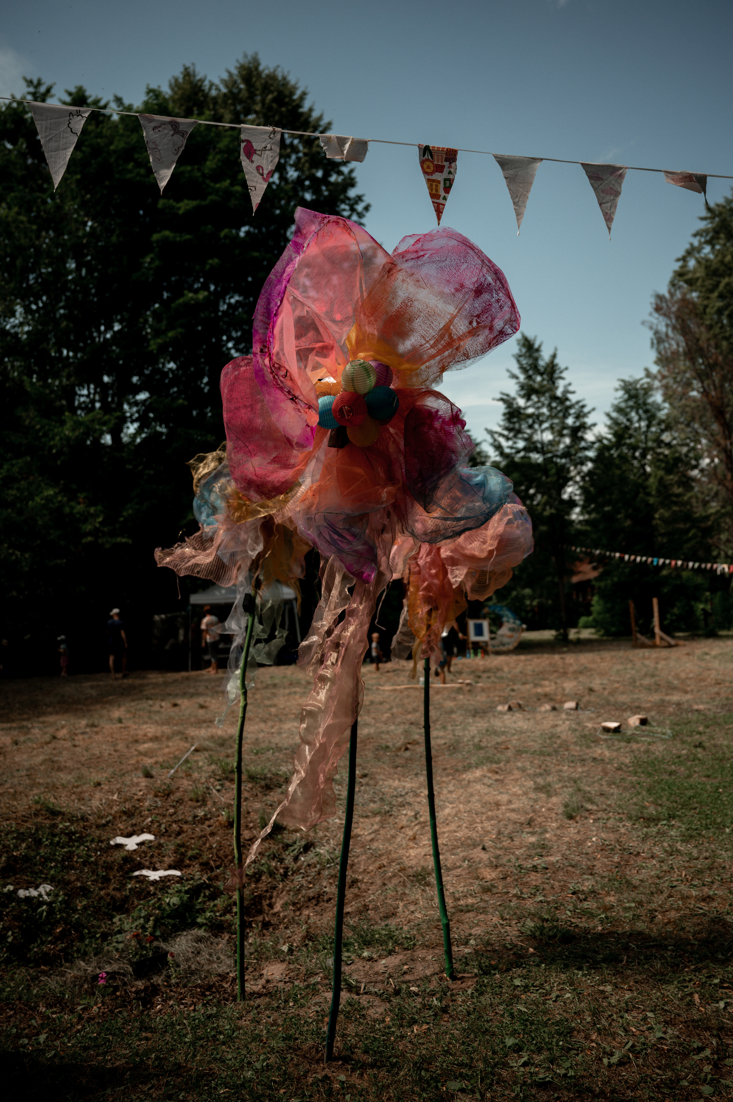 Репортажи. Главная