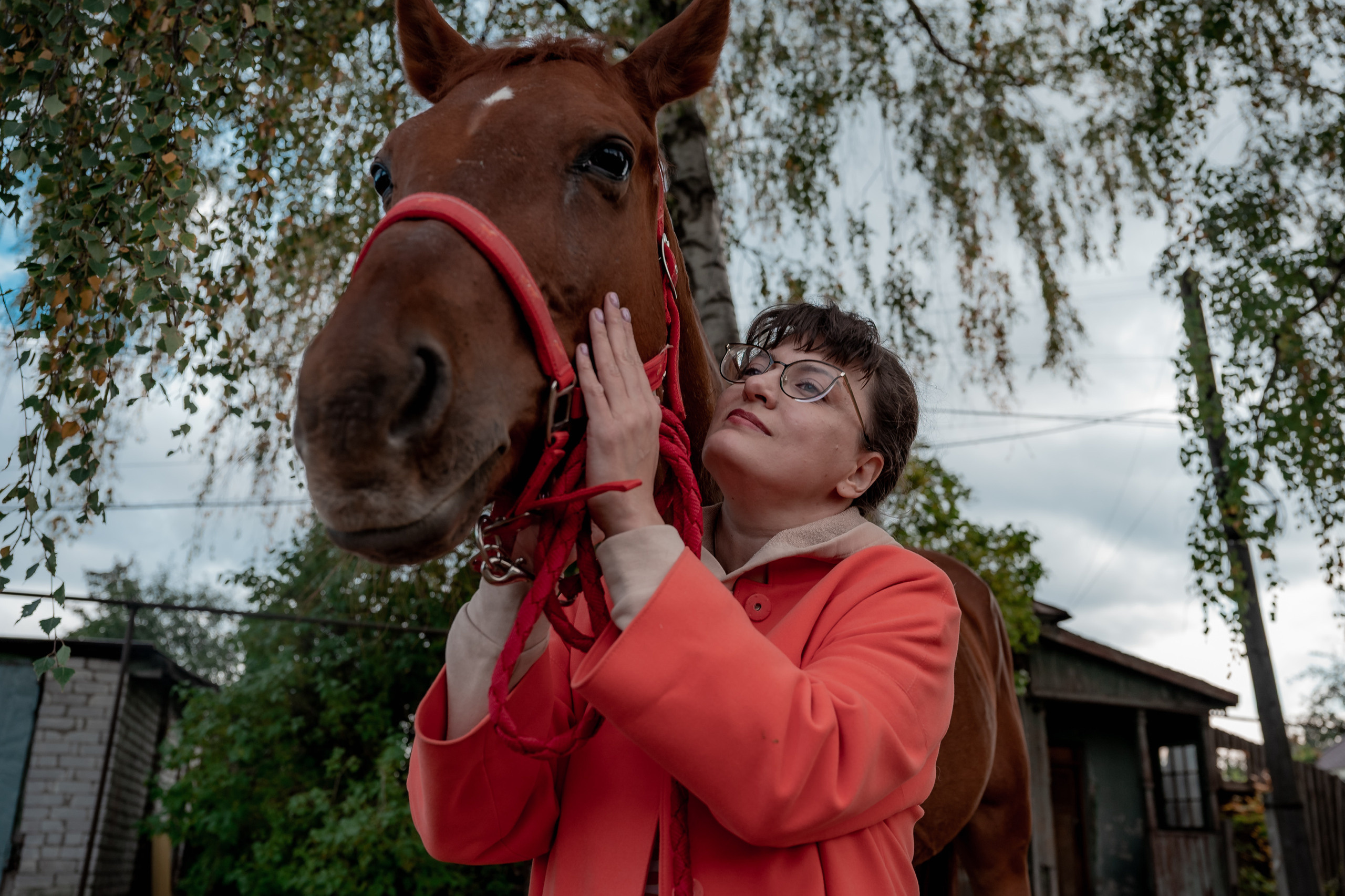 Волонтерские. Главная