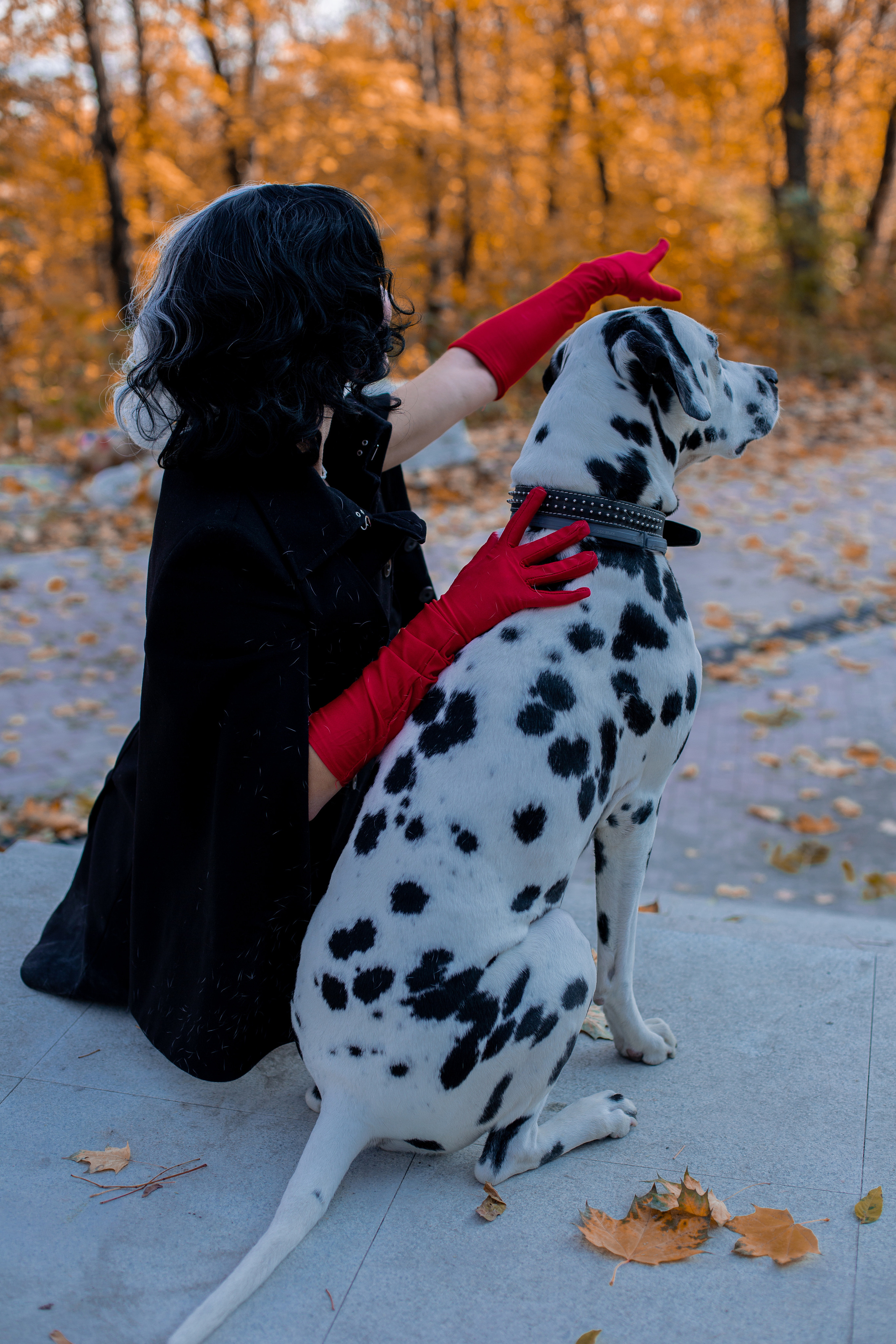 Прогулочная. Главная