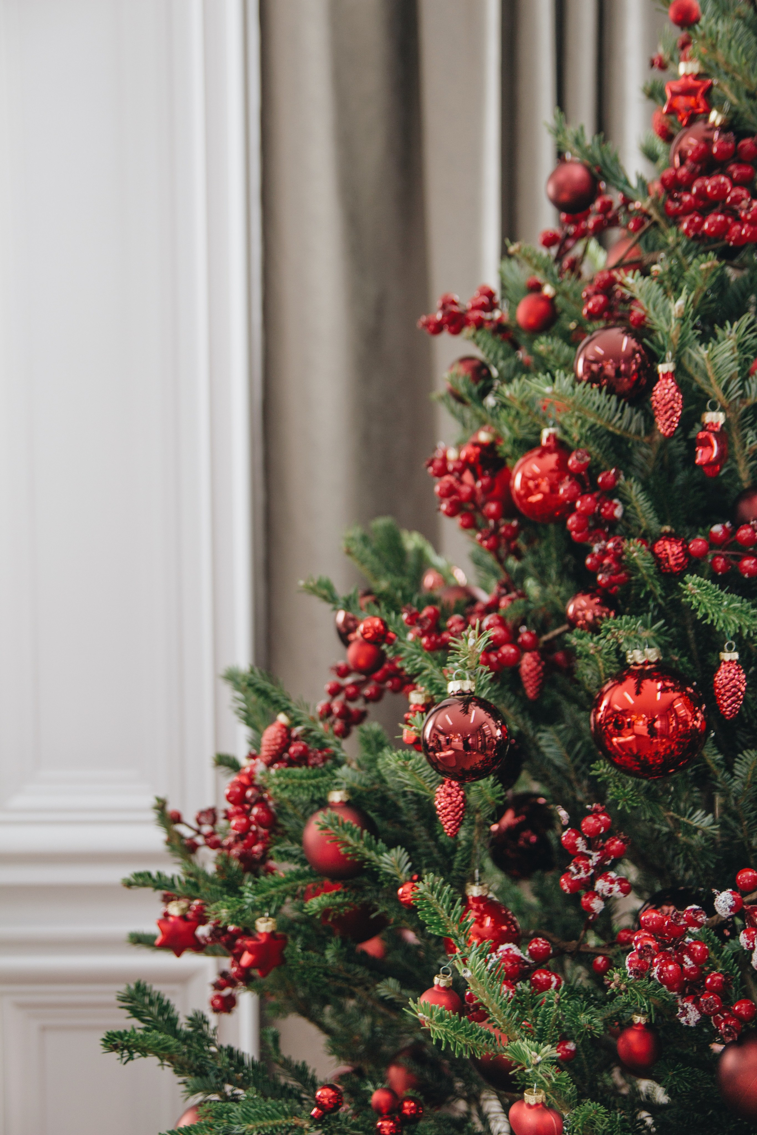 Тисс 2021. Ксения Почтарь. Декоратор и флорист, город Владивосток