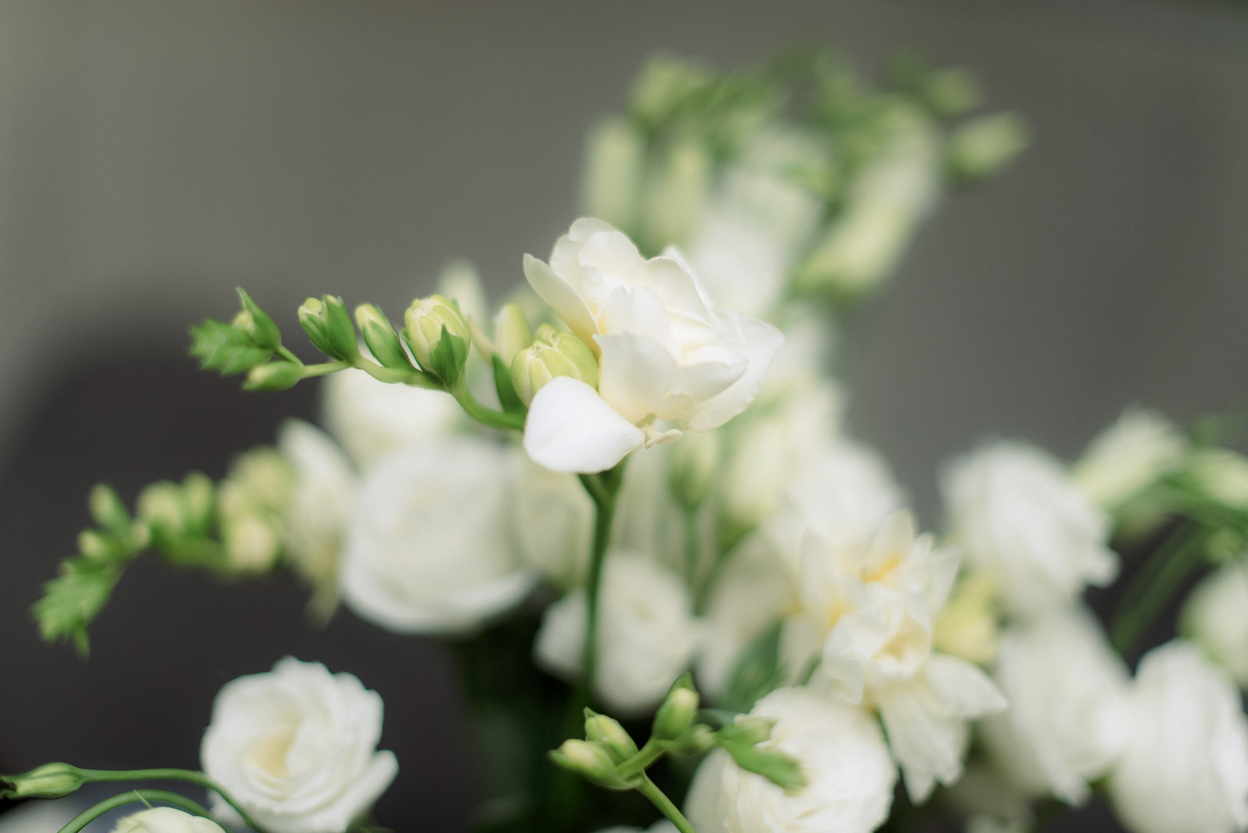 One Day. Свадебный фотограф Анастасия Сюзанова