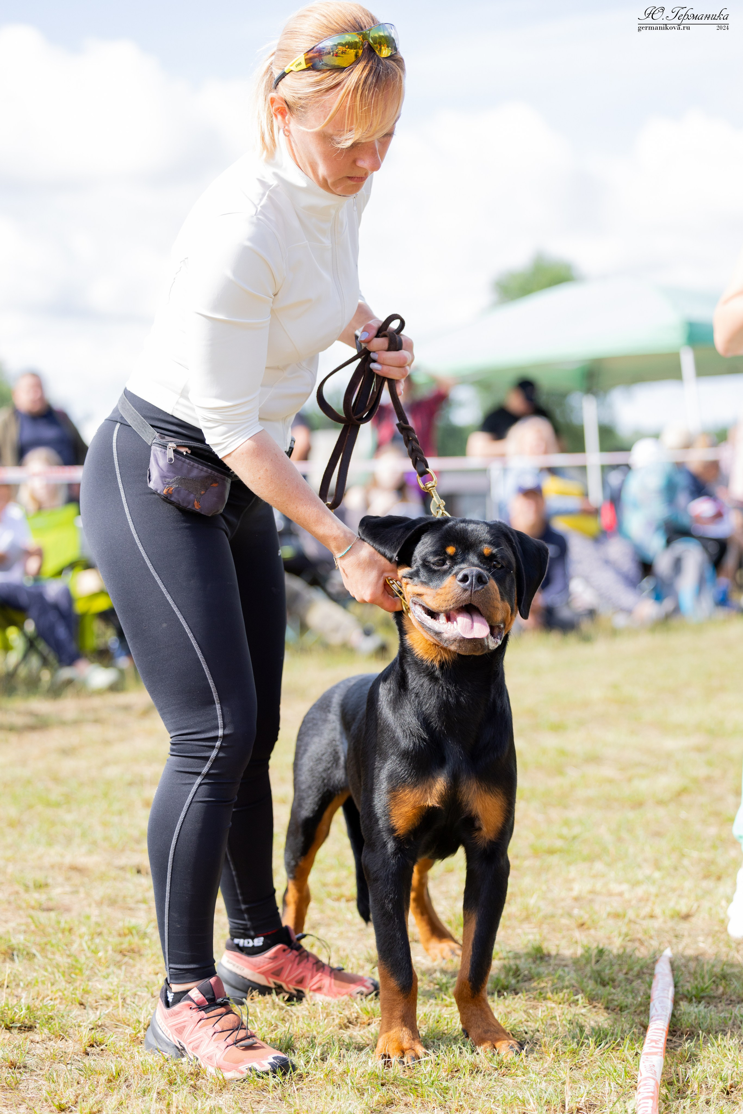 ПК и КЧК ротвейлеры Тверь 6-7.07.2024. Фотограф-анималист Юлия Германика
