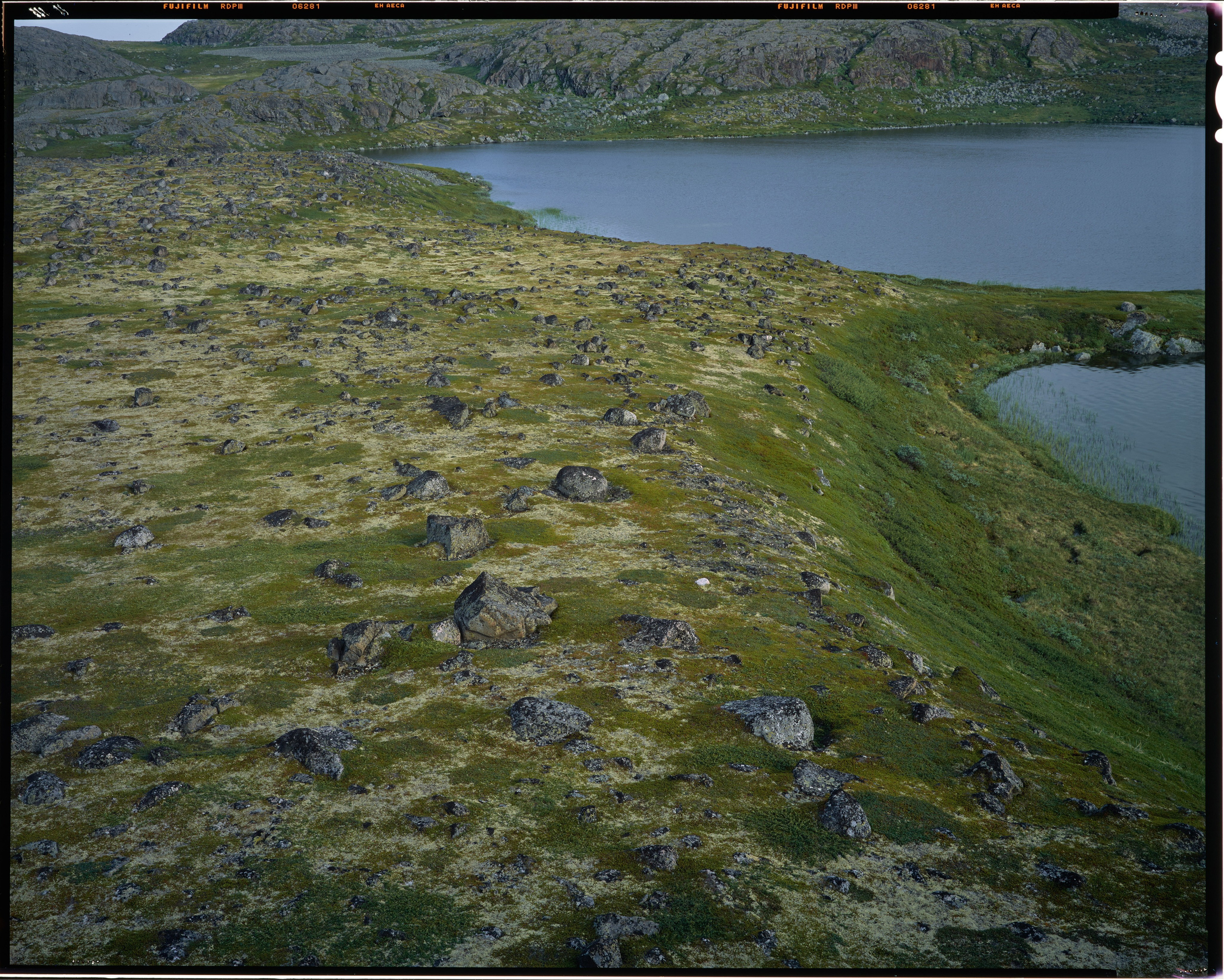 Полевая фотосъёмка форматными камерами. Multica. Мастерская камер большого формата