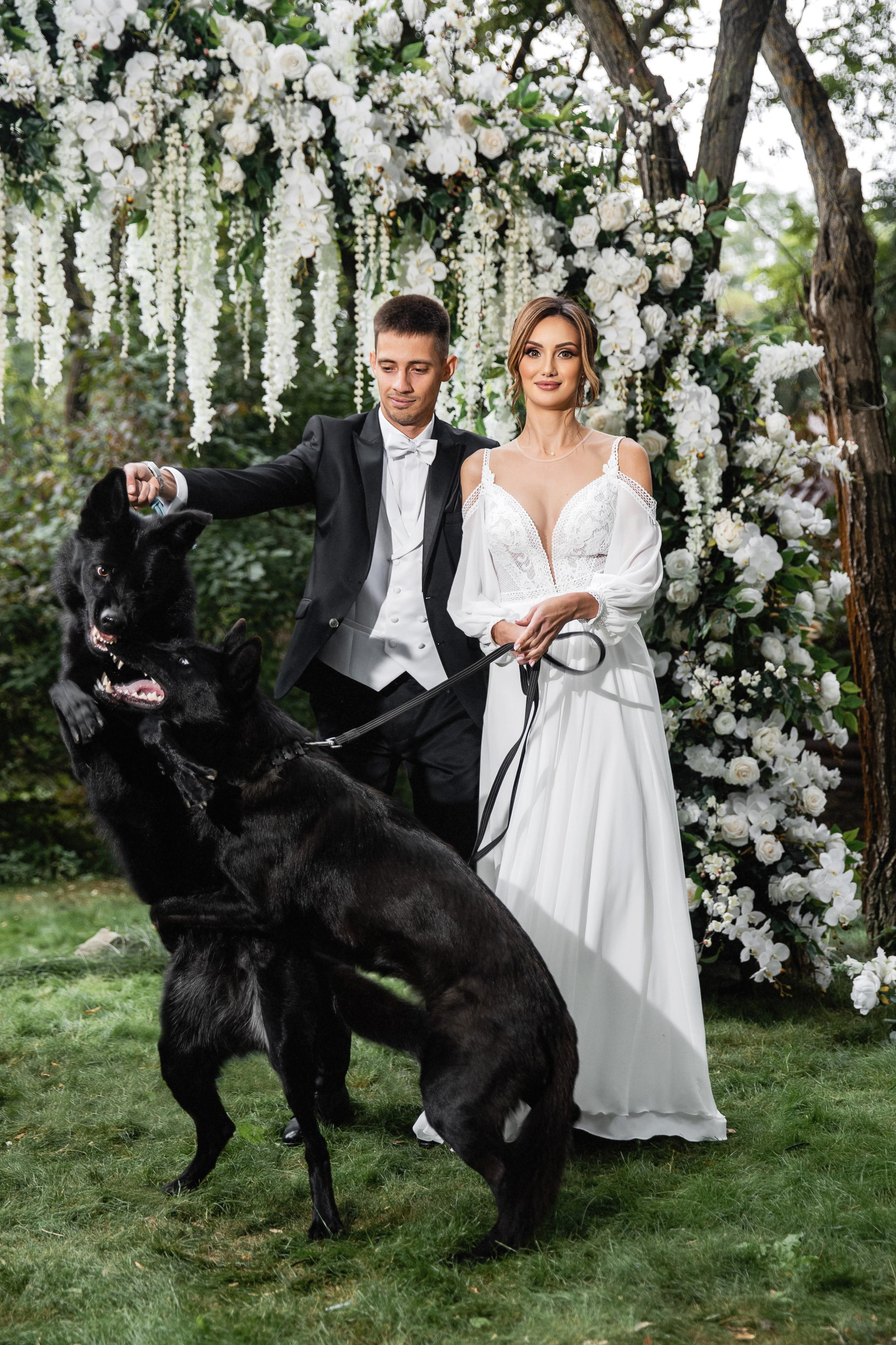 Roman & Julia. Свадебный организатор в Ростове-на-Дону Яснов Роман