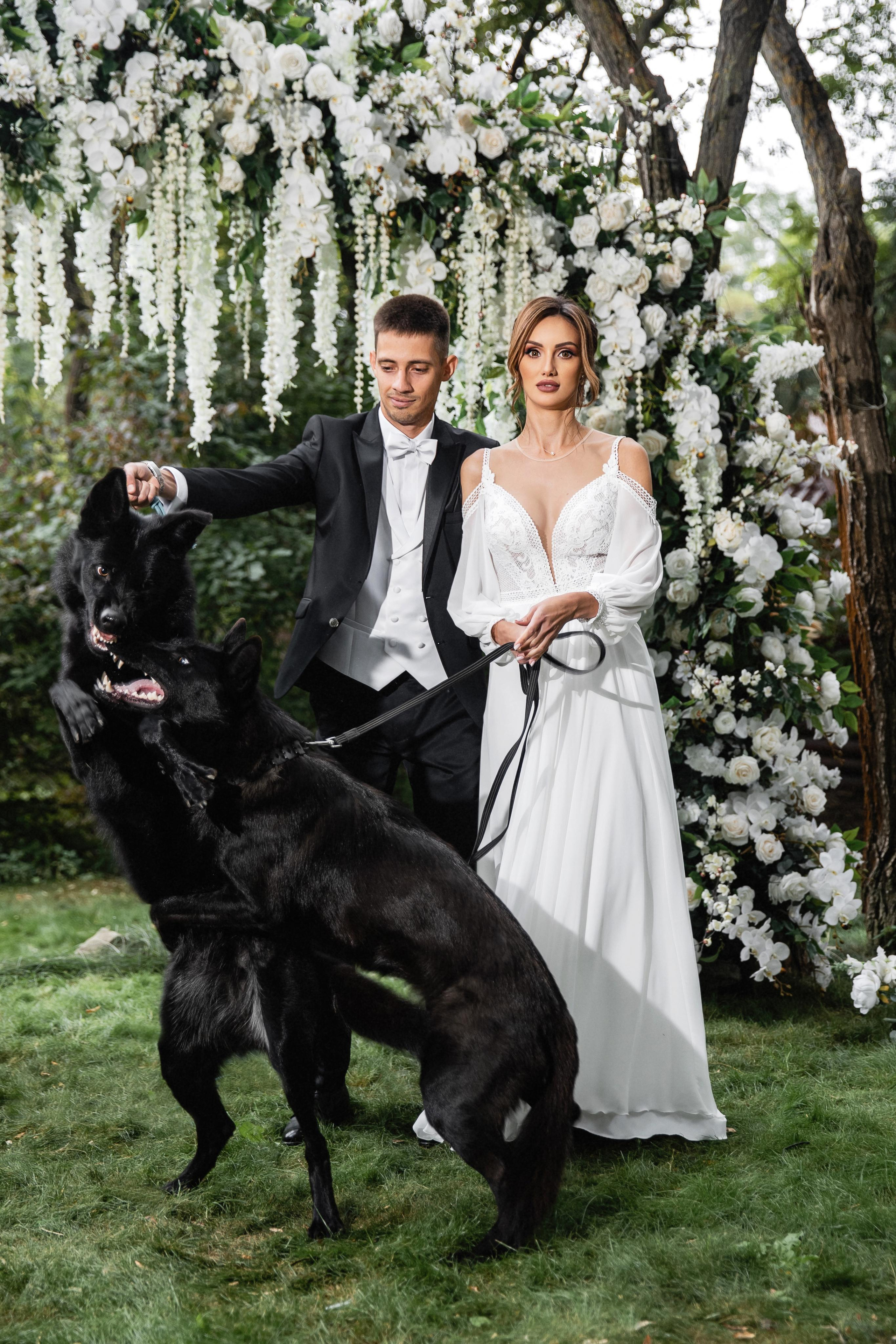 Roman & Julia. Свадебный организатор в Ростове-на-Дону Яснов Роман