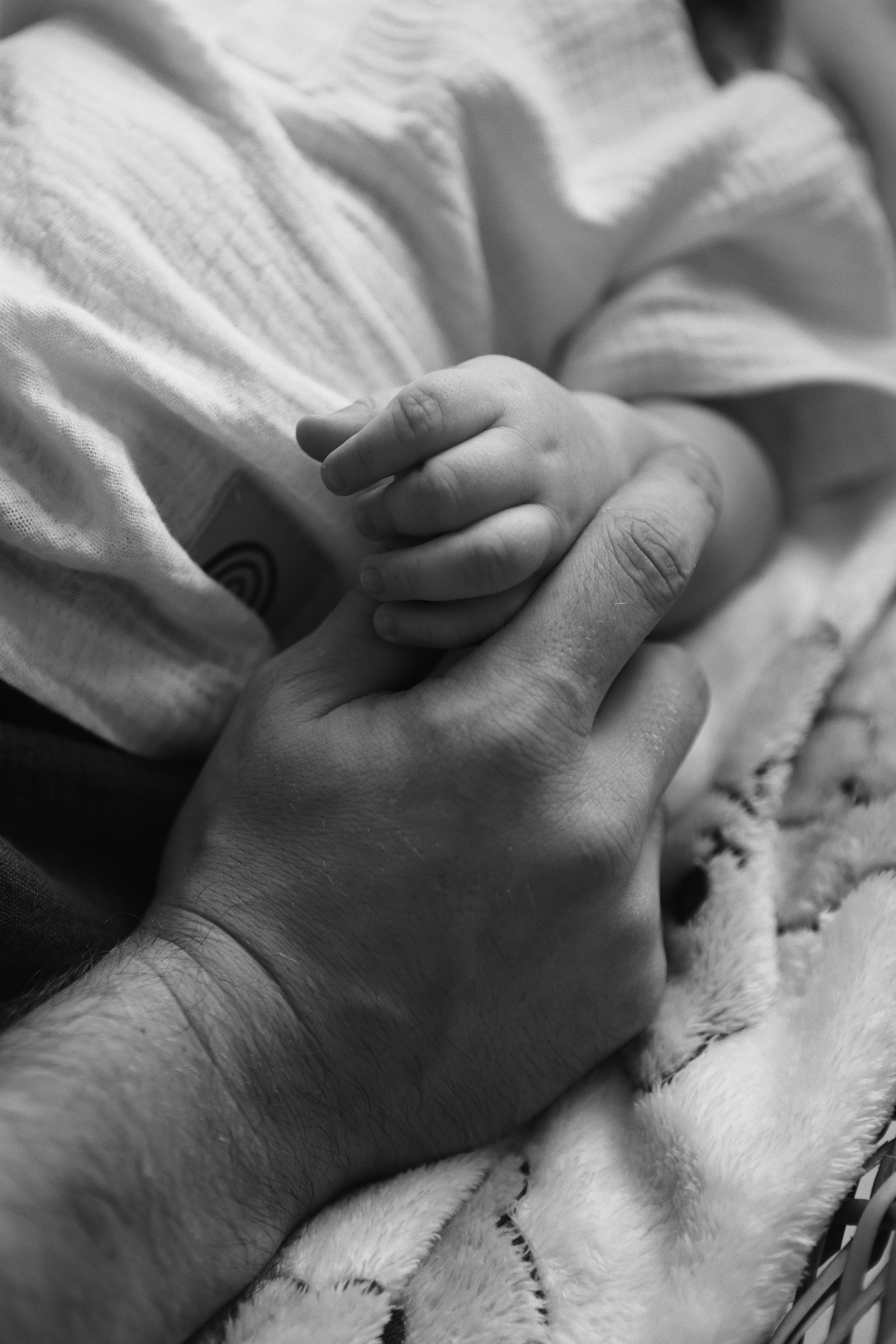 Парные и семейные съёмки. Анастасия Камал. Фотограф Саратов