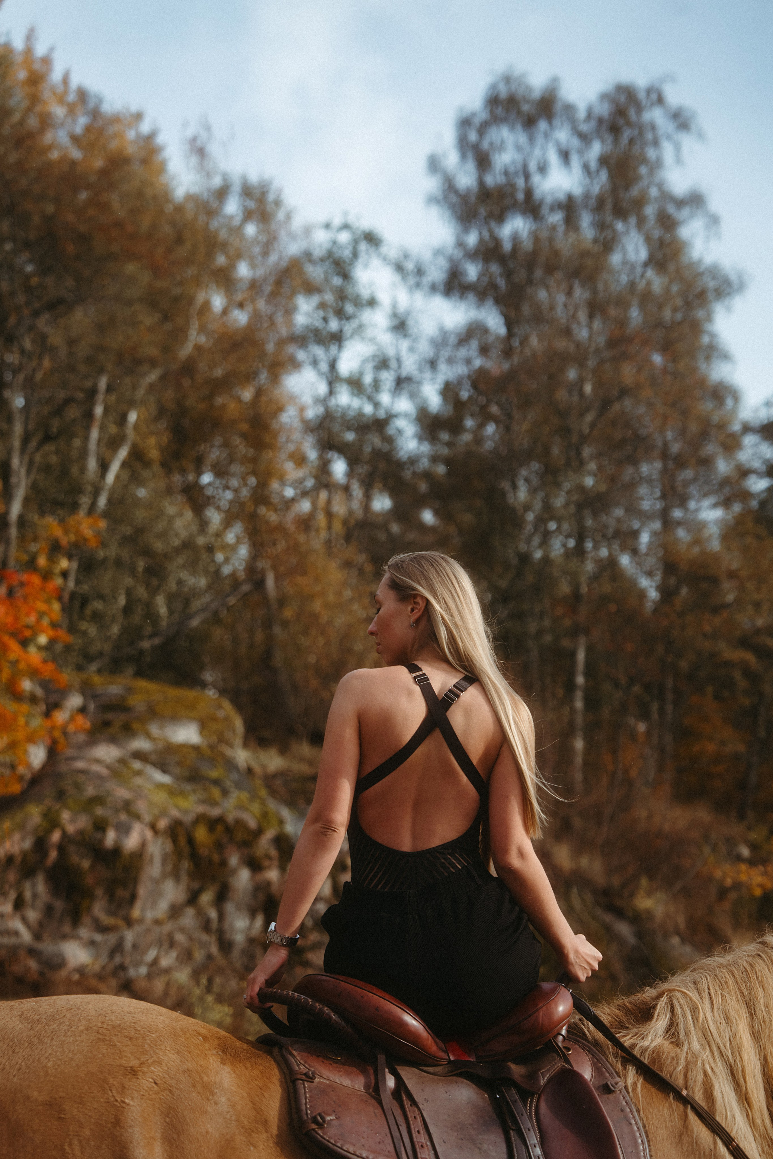 Конные. Главная