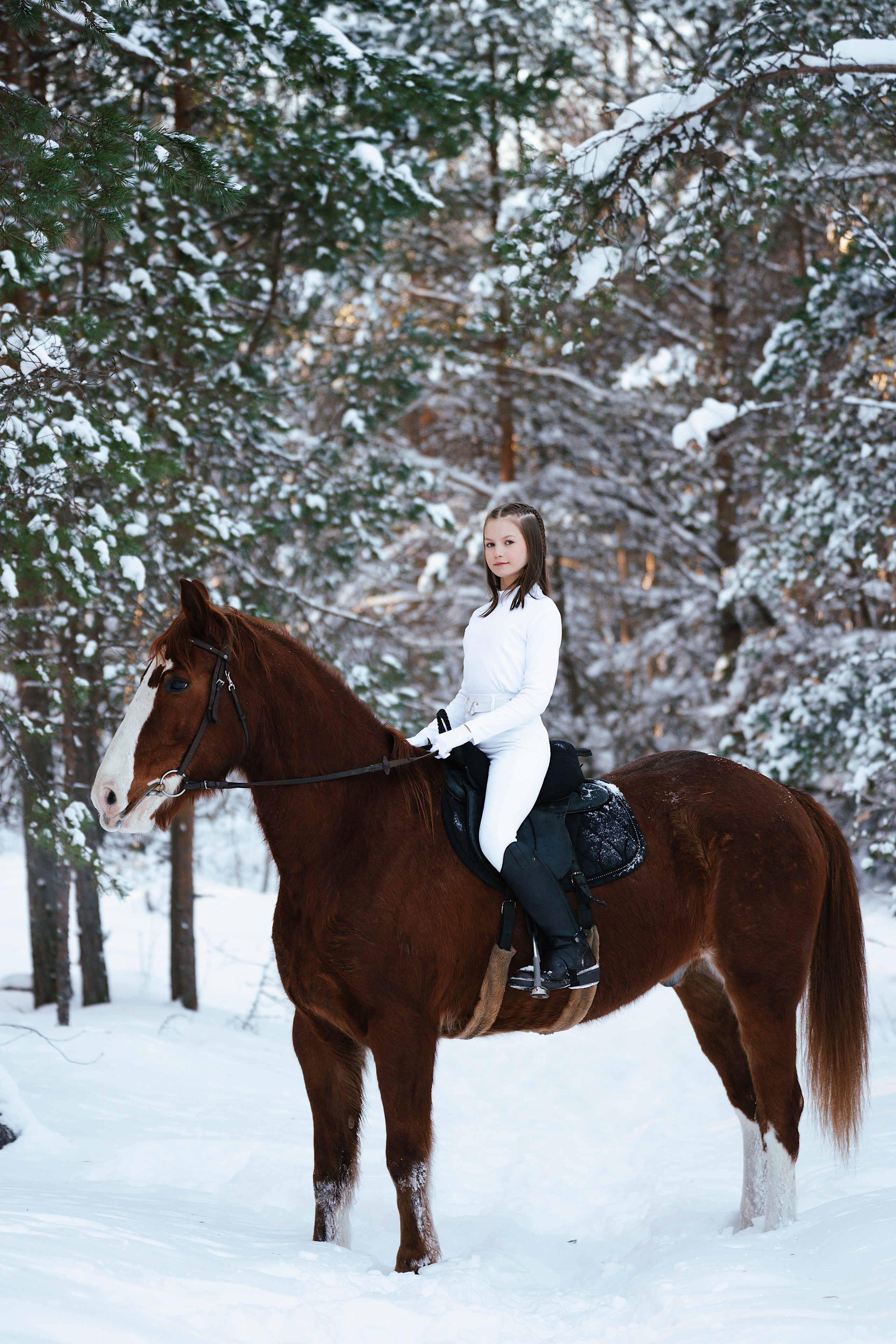 Конные. Фотограф Сибирика (Ирина Кузнецова), Санкт-Петербург и ЛО — портреты, свадьбы и семейные съемки. Творческий подход и качественные фото