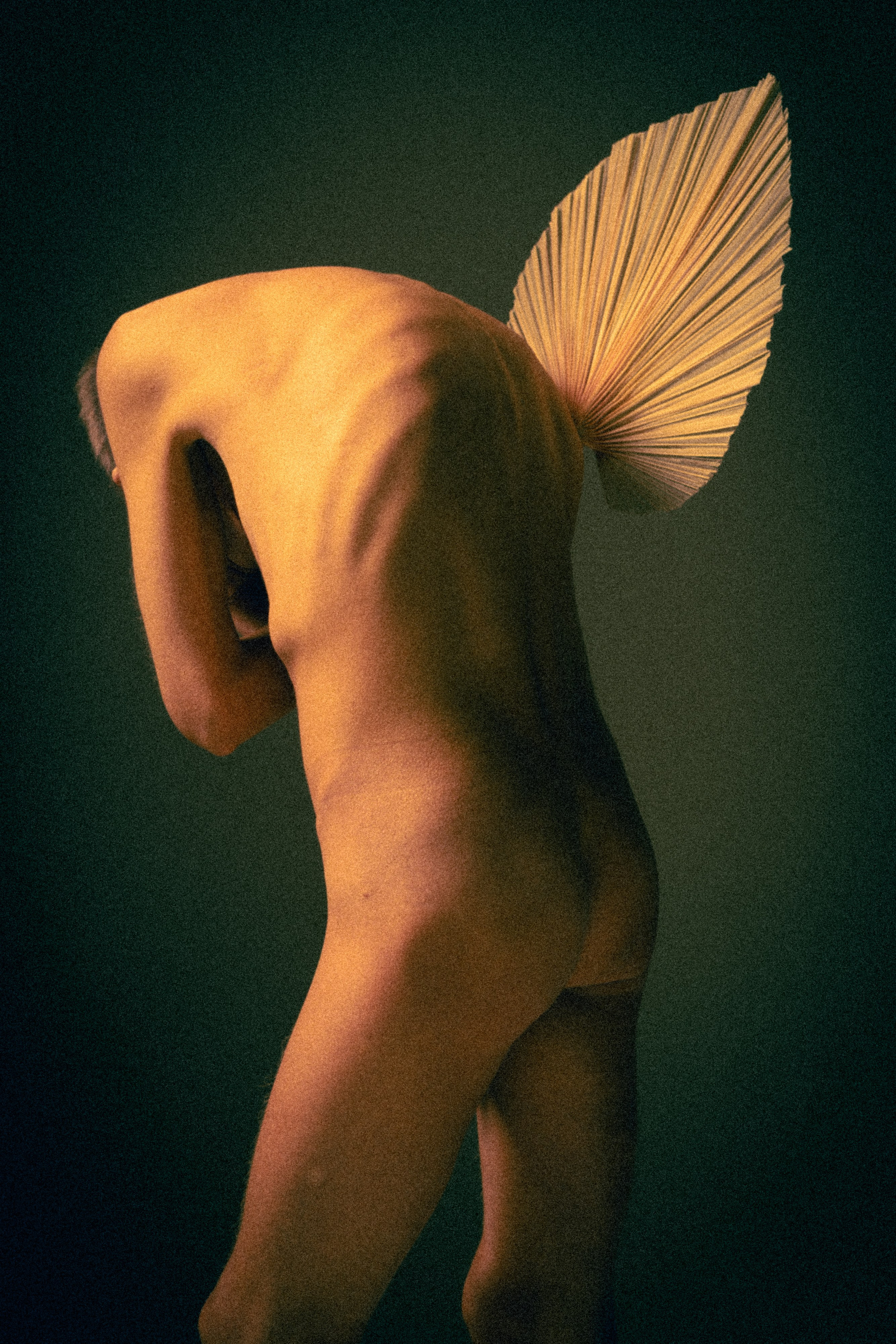 Инкогнито. Фотограф Москва арт- ню, портрет, fine art