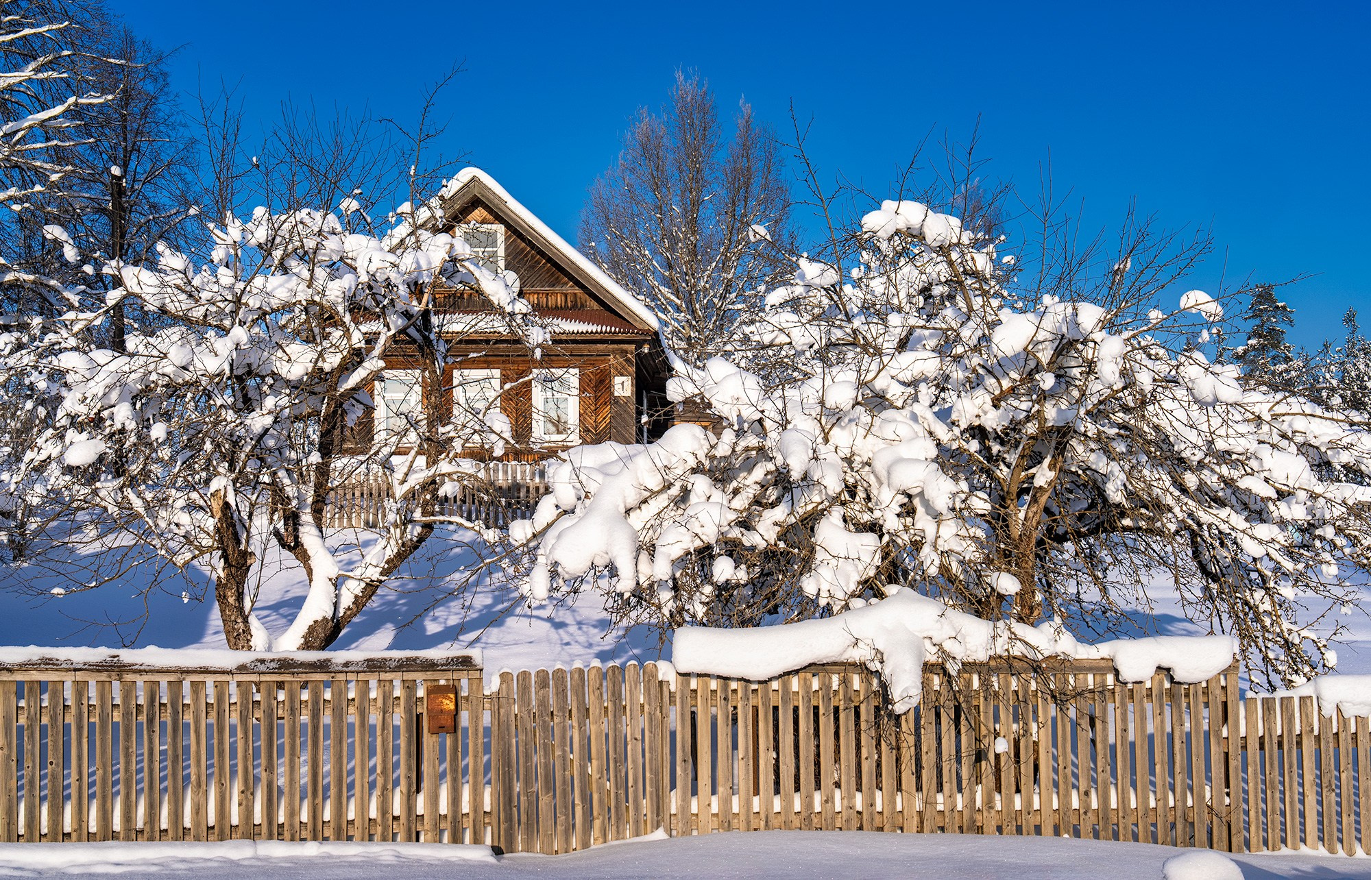 Селигер, Россия. Фотограф Владимир Остапенко