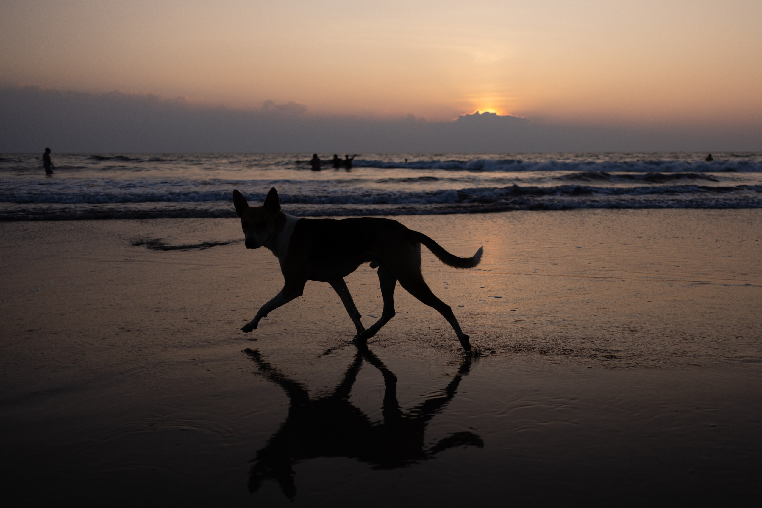 ГОА 2024. Руслан Плахтеев