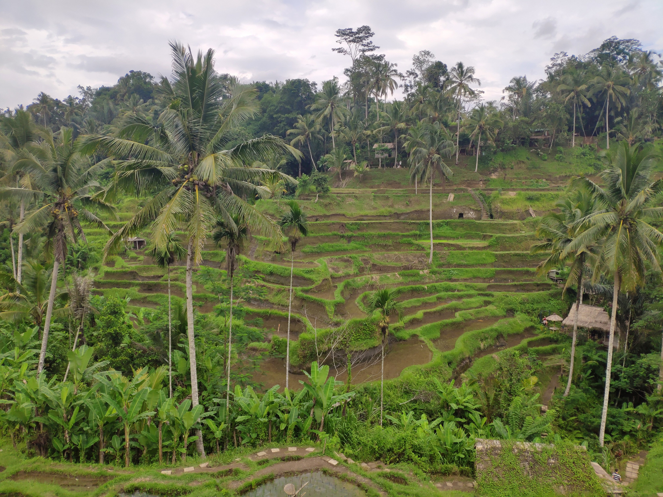 Indonesia (Bali Island). Фотограф Алексей Федорищев