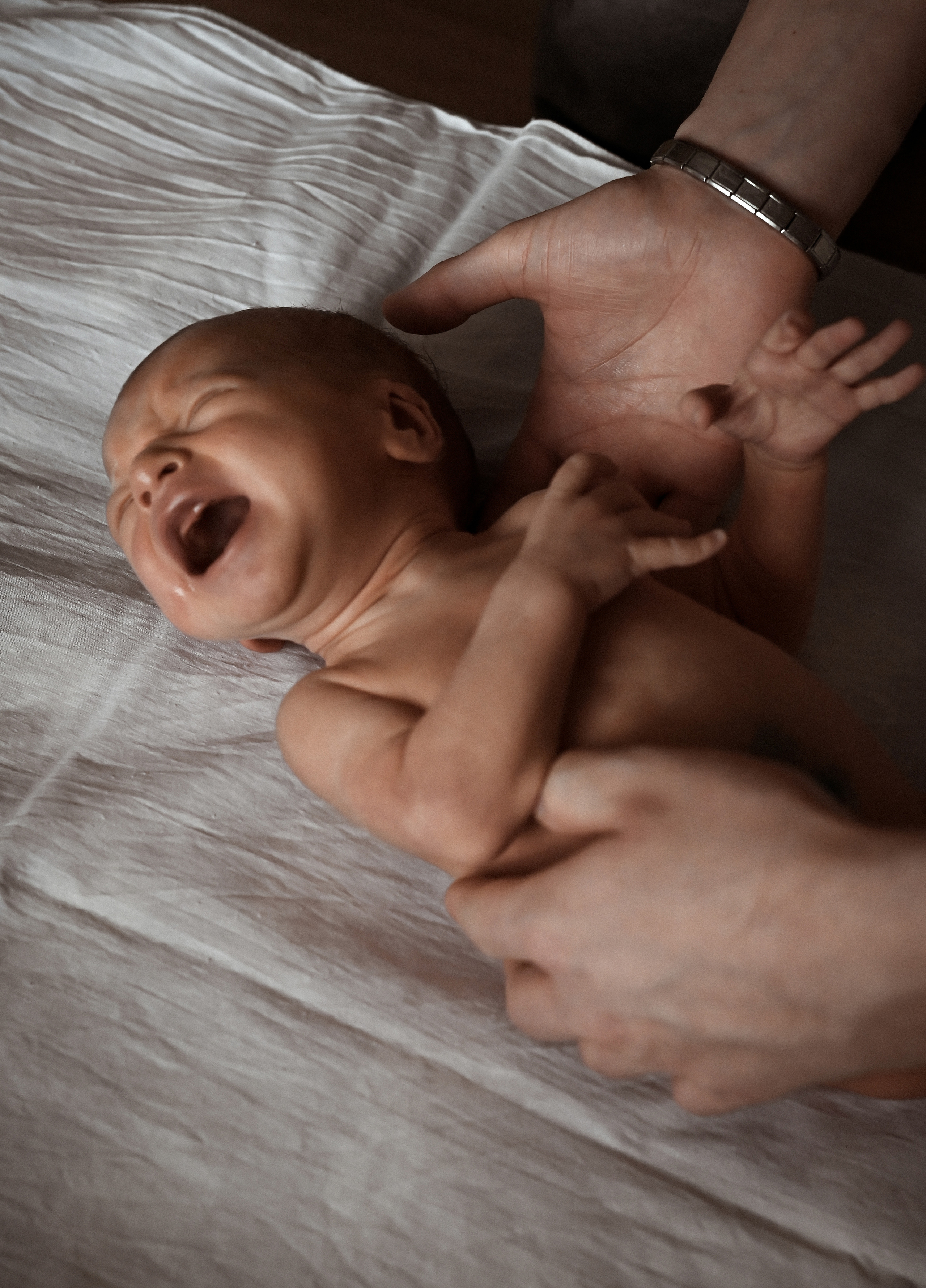 Лео. Свадебный и семейный фотограф в Новосибирске, Санкт-Петербурге, Москве