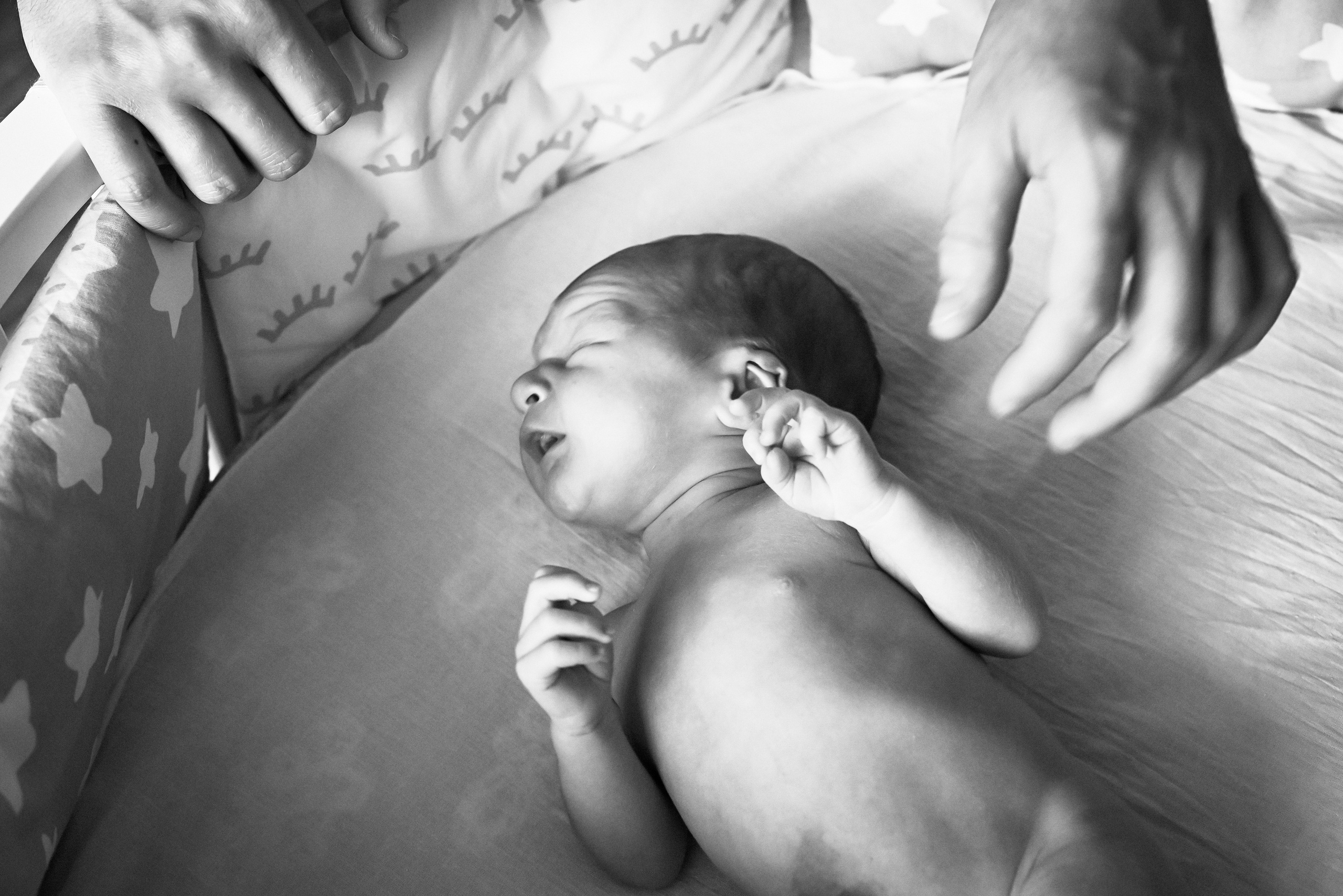 Лео. Свадебный и семейный фотограф в Новосибирске, Санкт-Петербурге, Москве