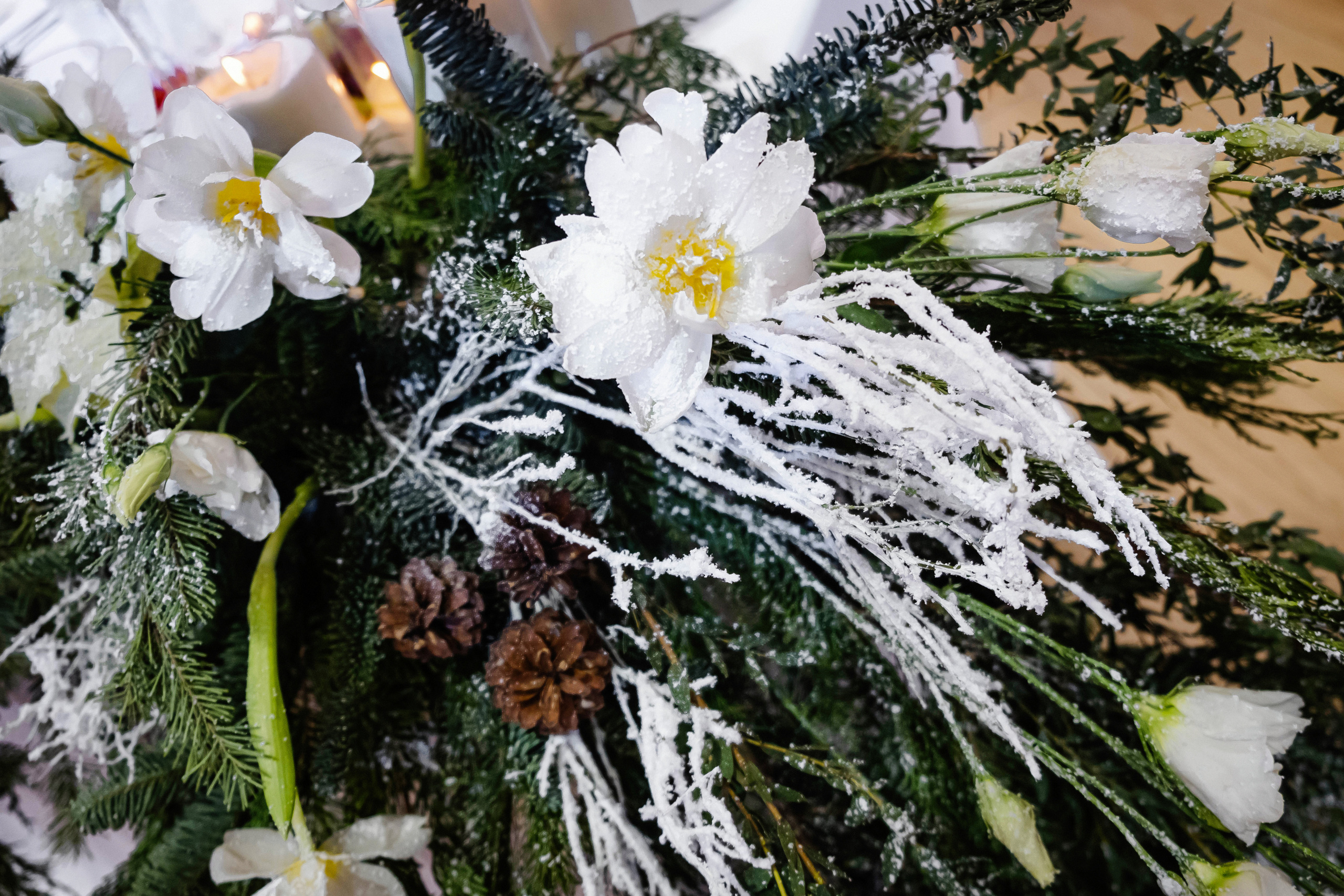 Элегантность зимы. Свадебный и семейный фотограф в Новосибирске, Санкт-Петербурге, Москве