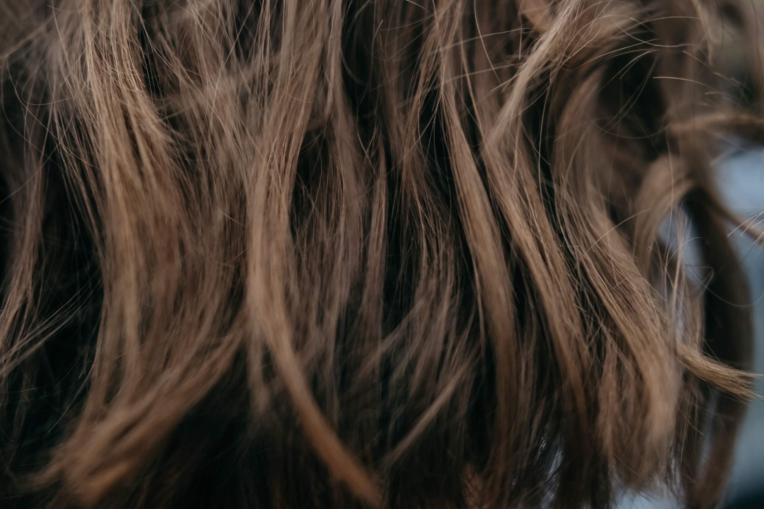 Благородно серый день. Свадебный и семейный фотограф в Новосибирске, Санкт-Петербурге, Москве