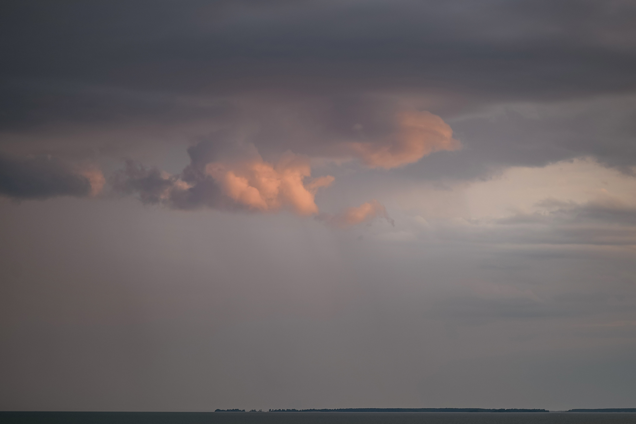 Морской шум. Свадебный и семейный фотограф в Новосибирске, Санкт-Петербурге, Москве