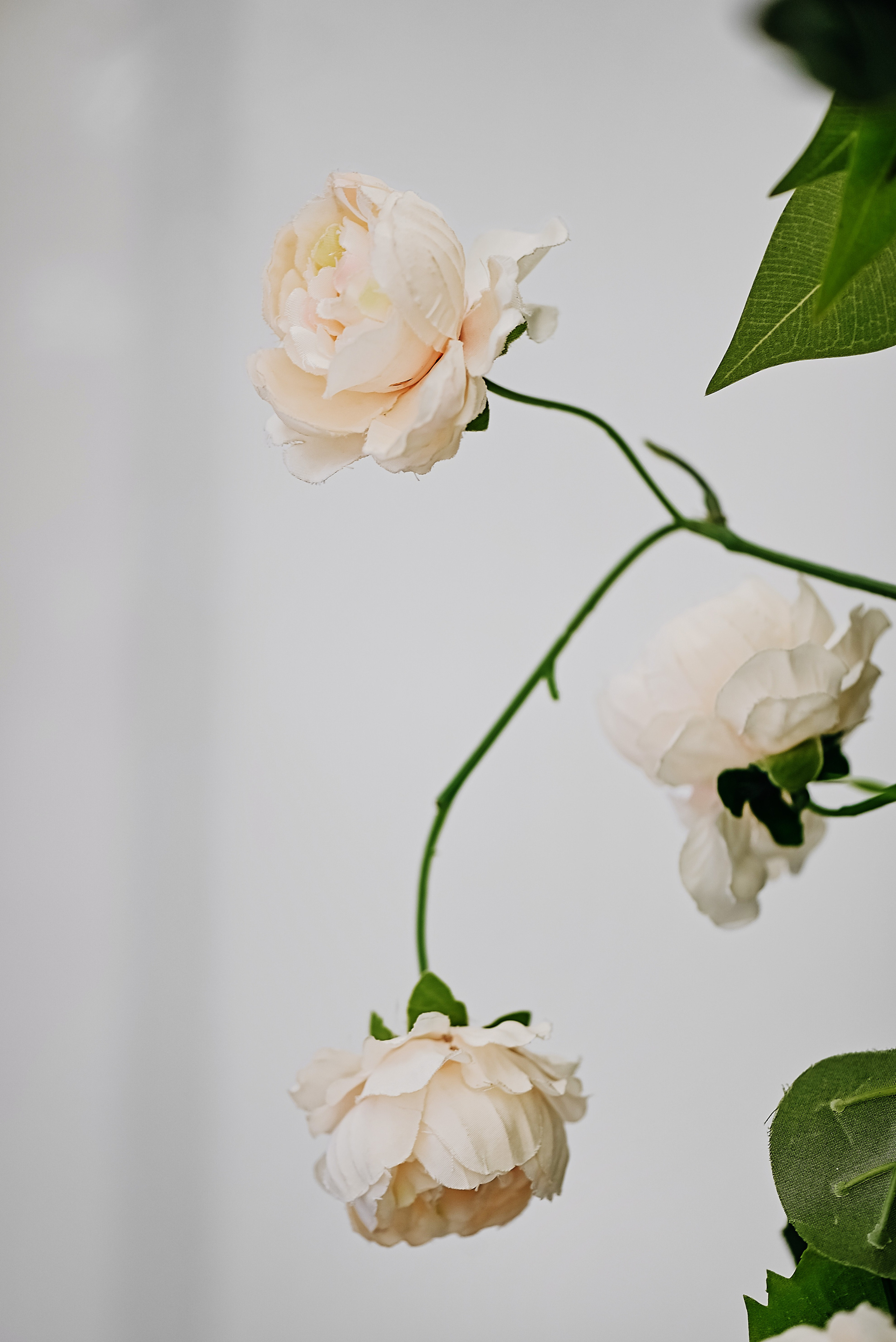 Итальянский август. Свадебный и семейный фотограф в Новосибирске, Санкт-Петербурге, Москве