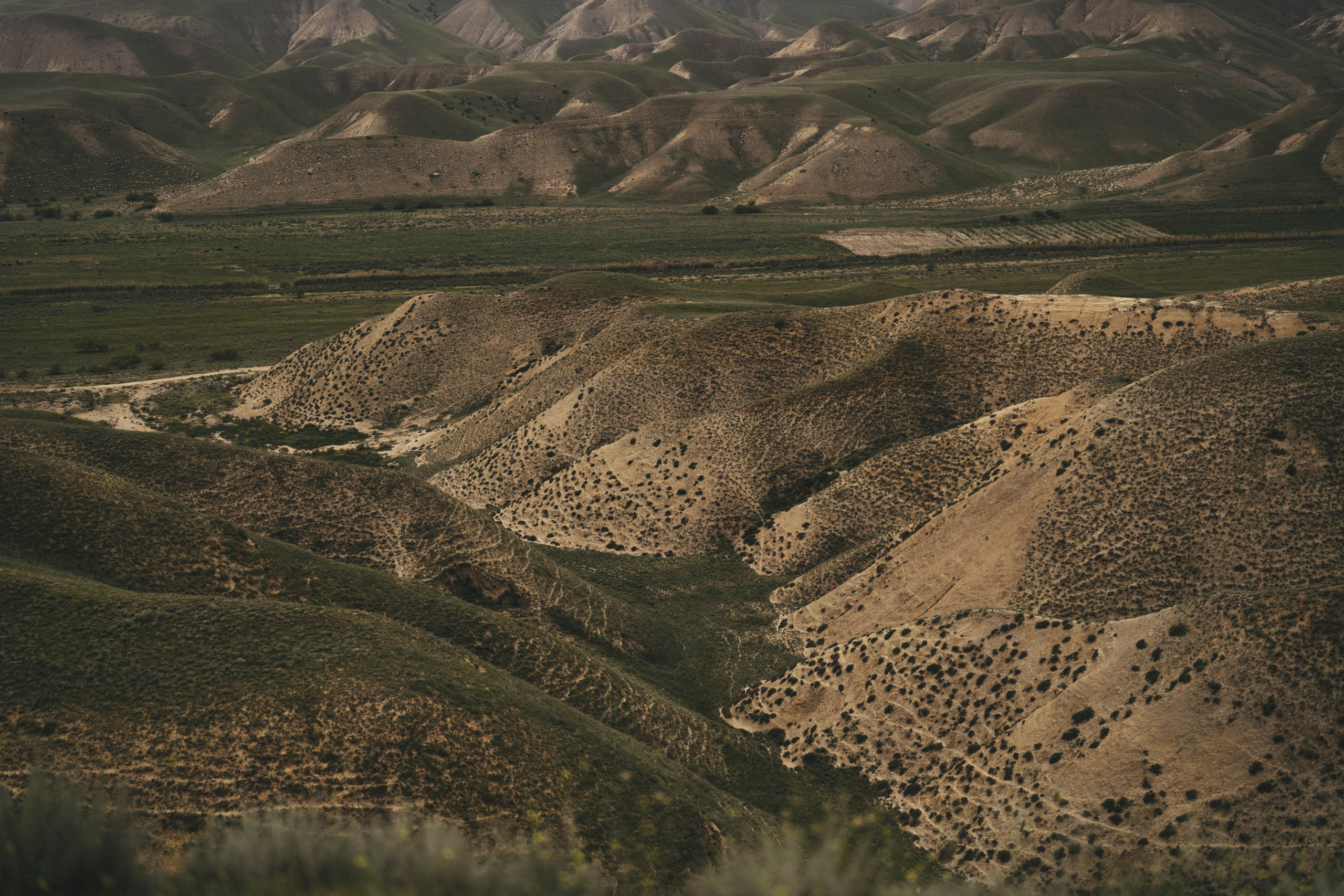 Dagestan. Фотограф Дарья Филатова