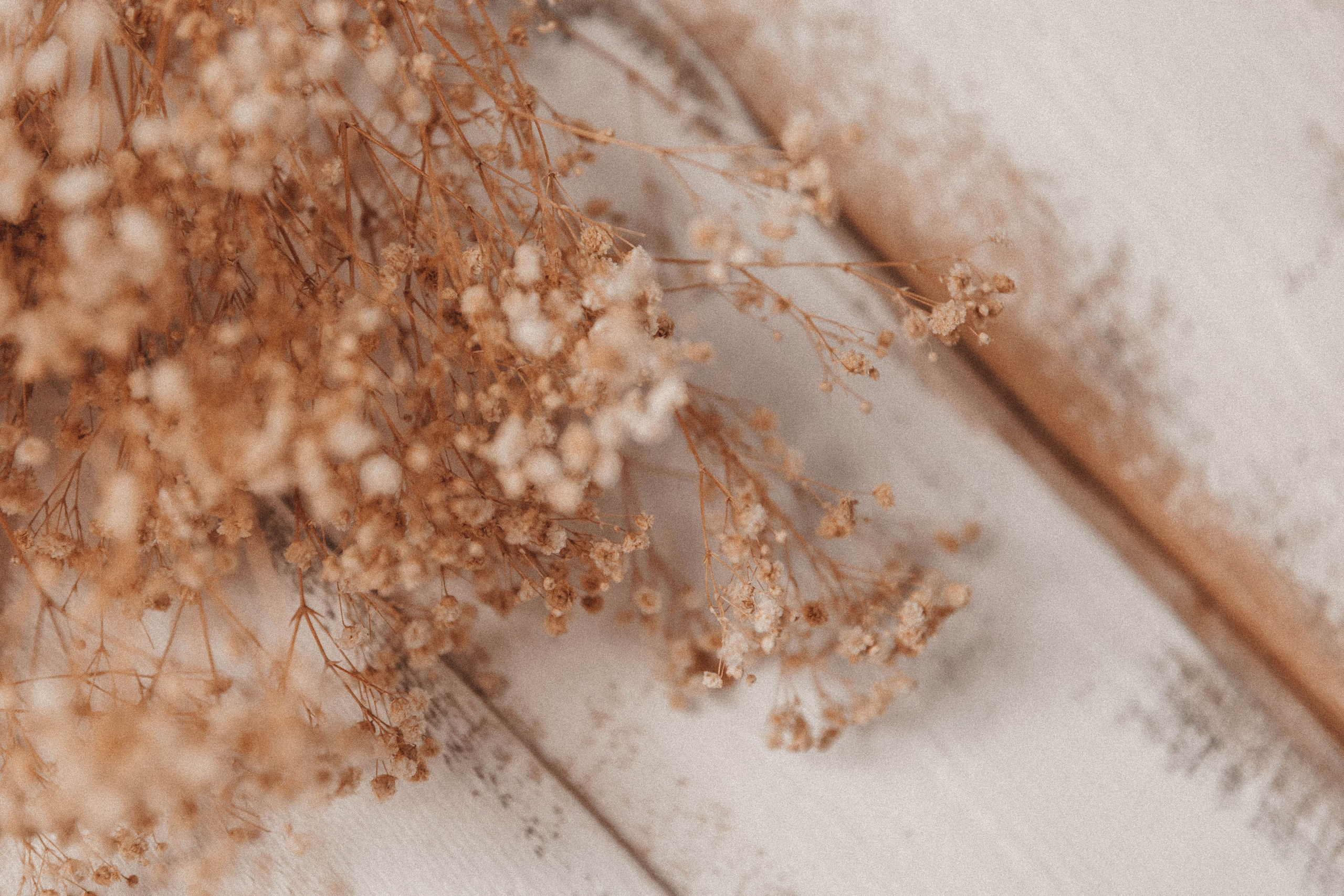 Рекомендации. Фотограф новорожденных Люберцы, Жуковский, Раменское