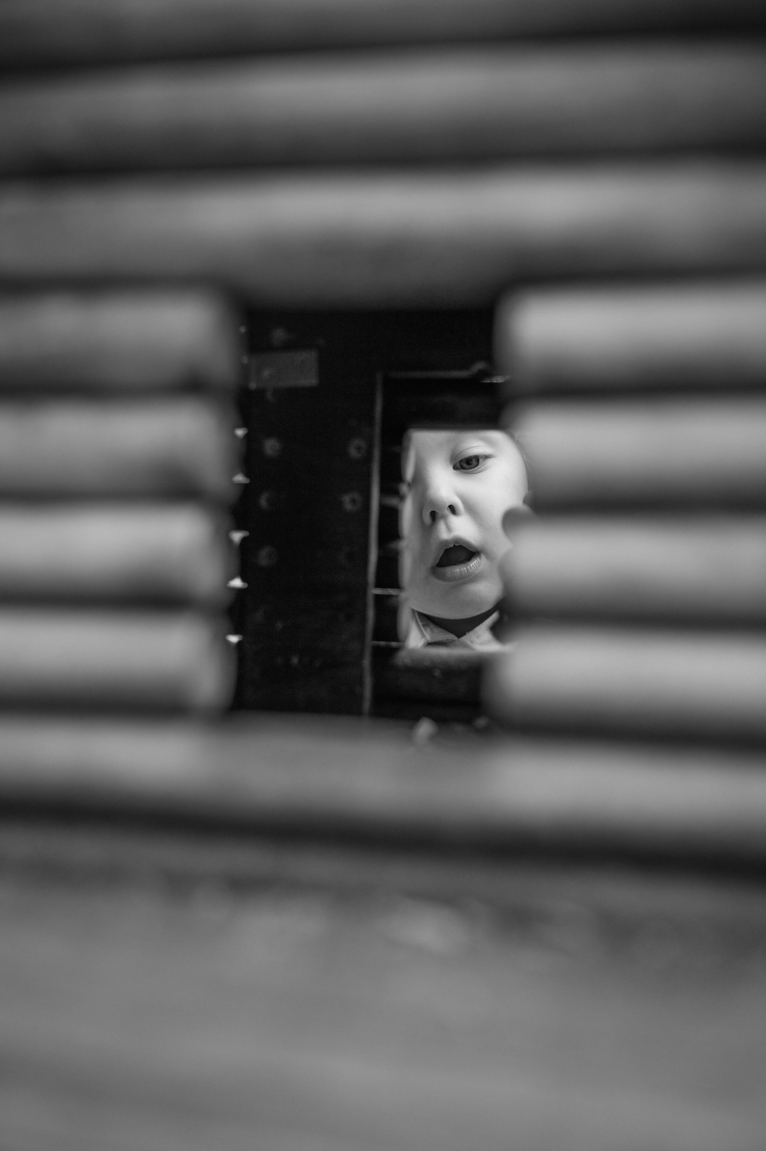 Семейная история. Семейный фотограф в Солнечногорске Федорова Евгения