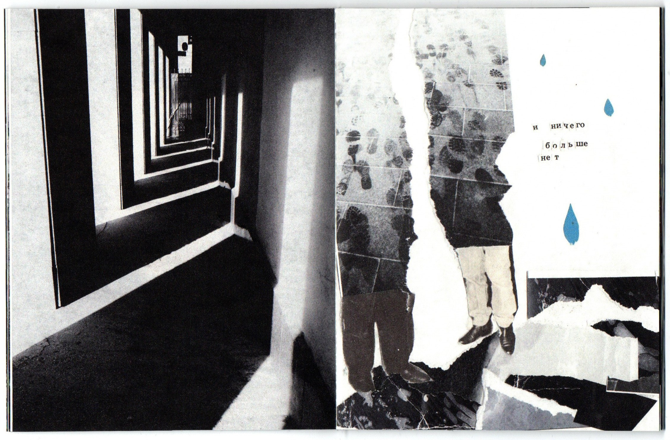 Приют несовершенных дел. Фотограф Анна Кирнос