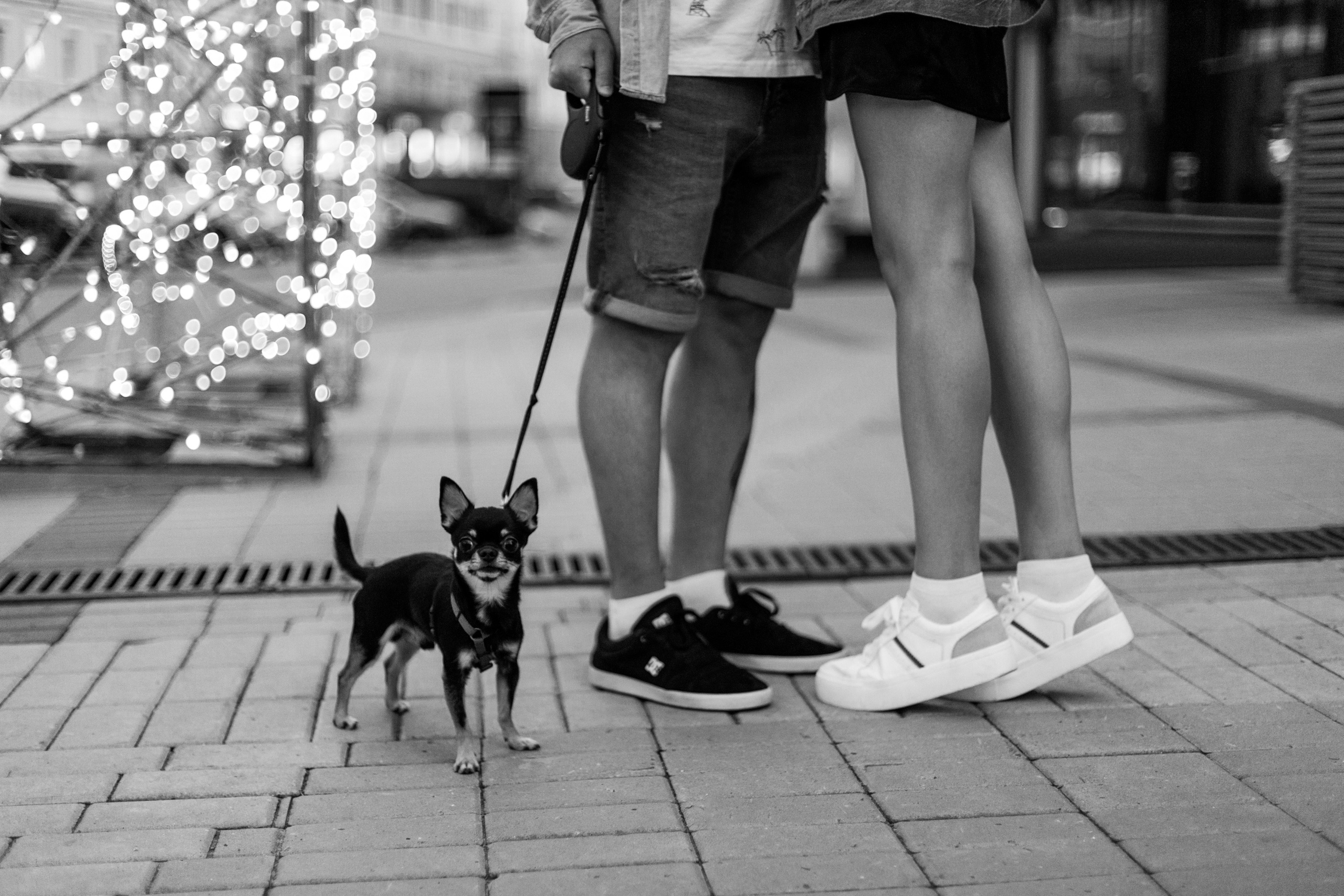 Love story. Свадебный и портретный фотограф в Нижнем Новгороде Дарья Воронова