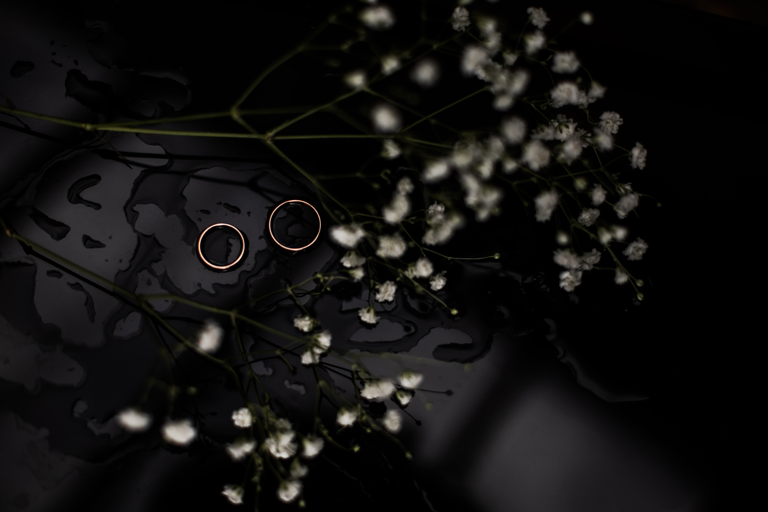 Свадебный и портретный фотограф в Нижнем Новгороде Дарья Воронова