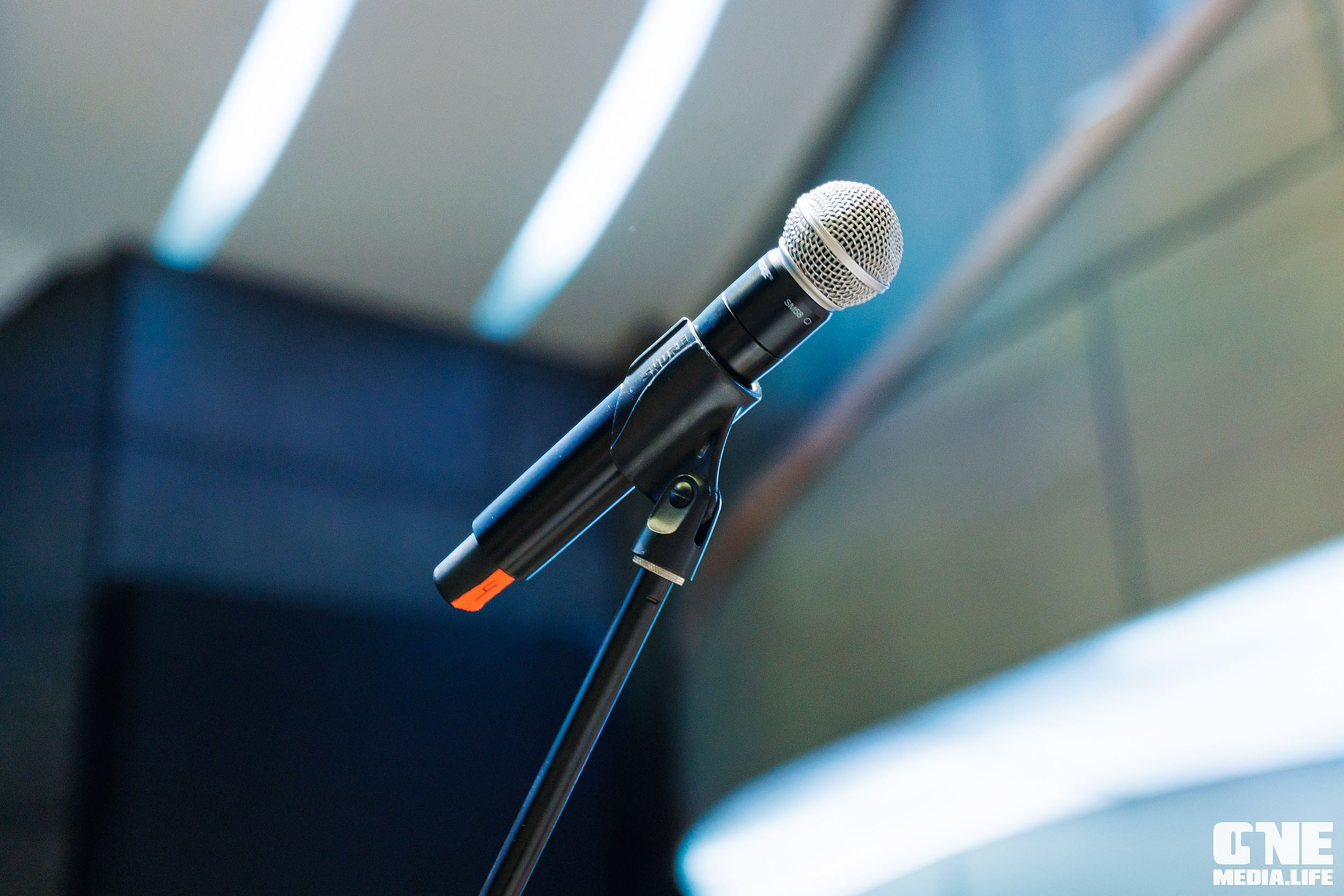 Михаил Лабковский. Лекция 20.07.2024. KRIS KRUPINNIKOVA