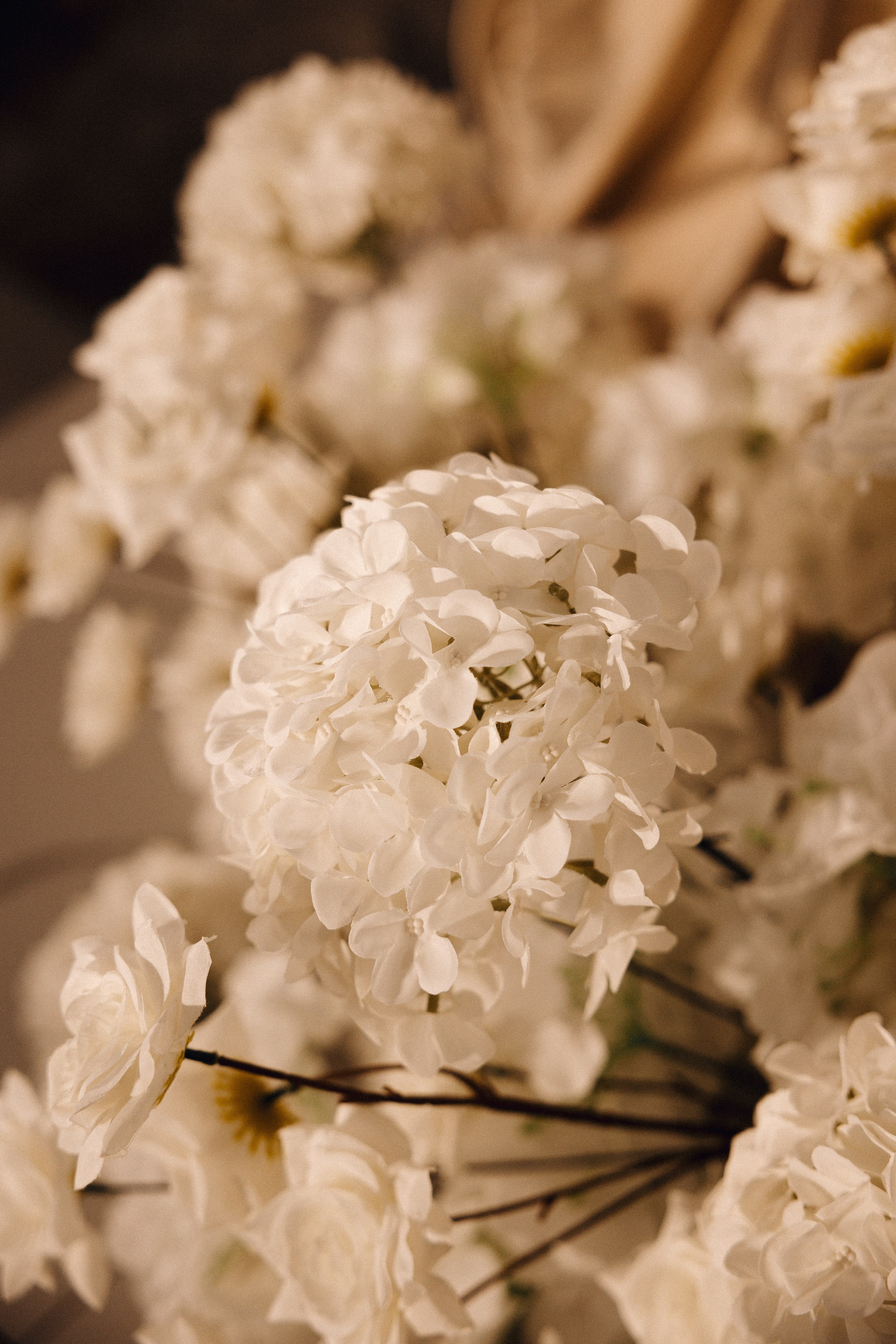 ПАРК СИТИ, MARY WHITE. Свадебный и индивидуальный фотограф в Челябинске Евгения Негодяева