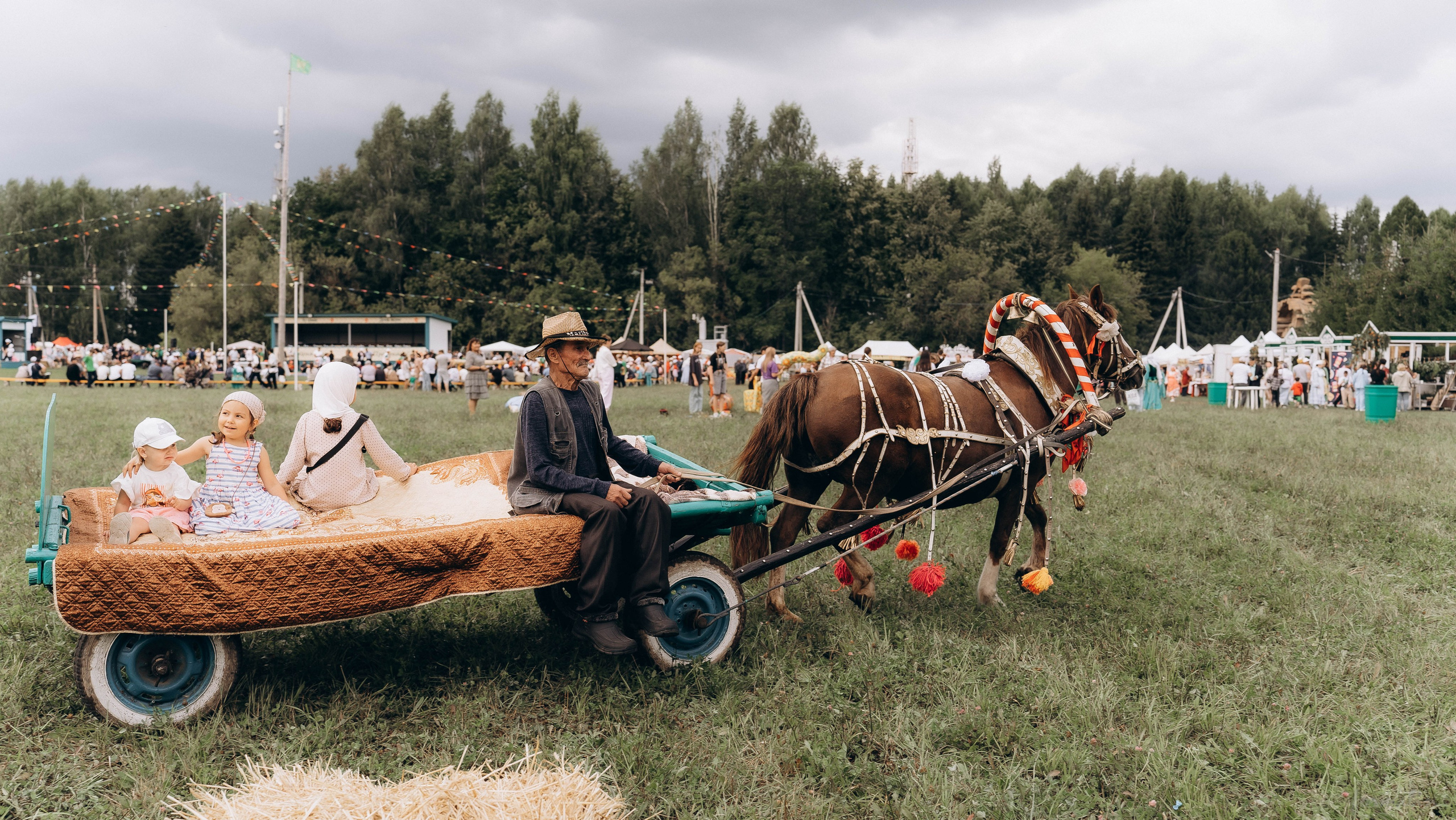 День Коня. Алиса Никитцова | Фотограф в Казани