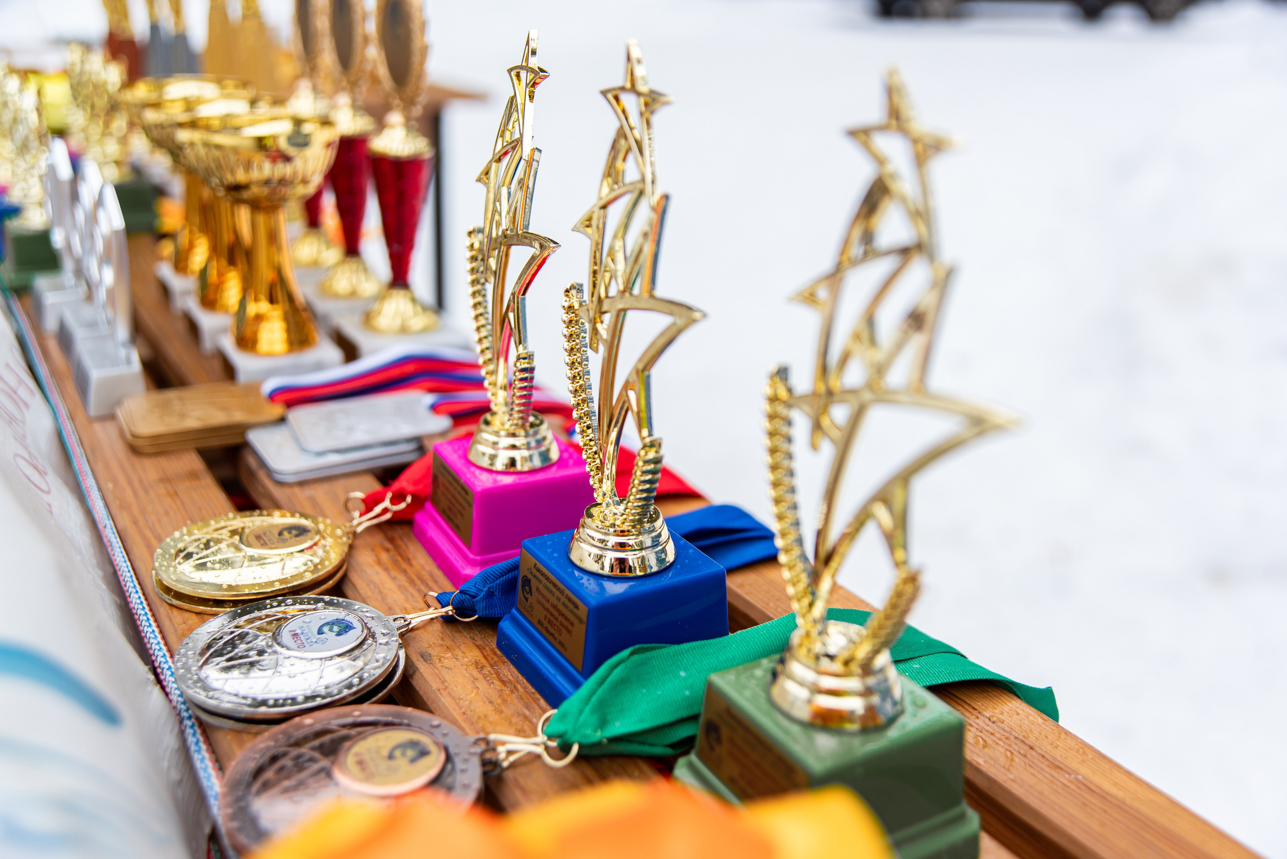 Фотосъёмка с собаками в Кинологическом лагере. Фотограф Макс Огурцов в Нижнем Новгороде