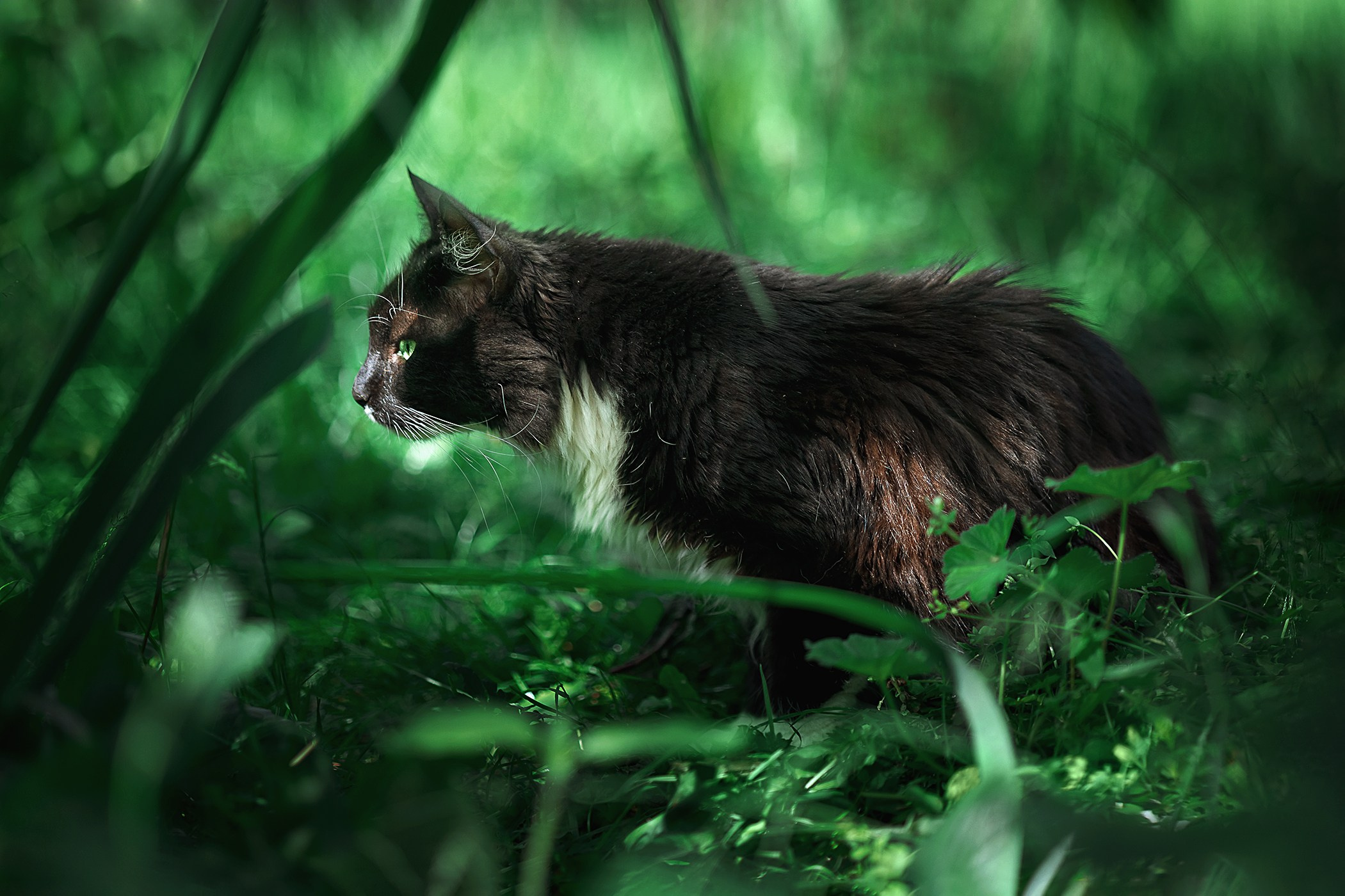 Природа и пейзажи. Наталья Антипас фотограф Москва