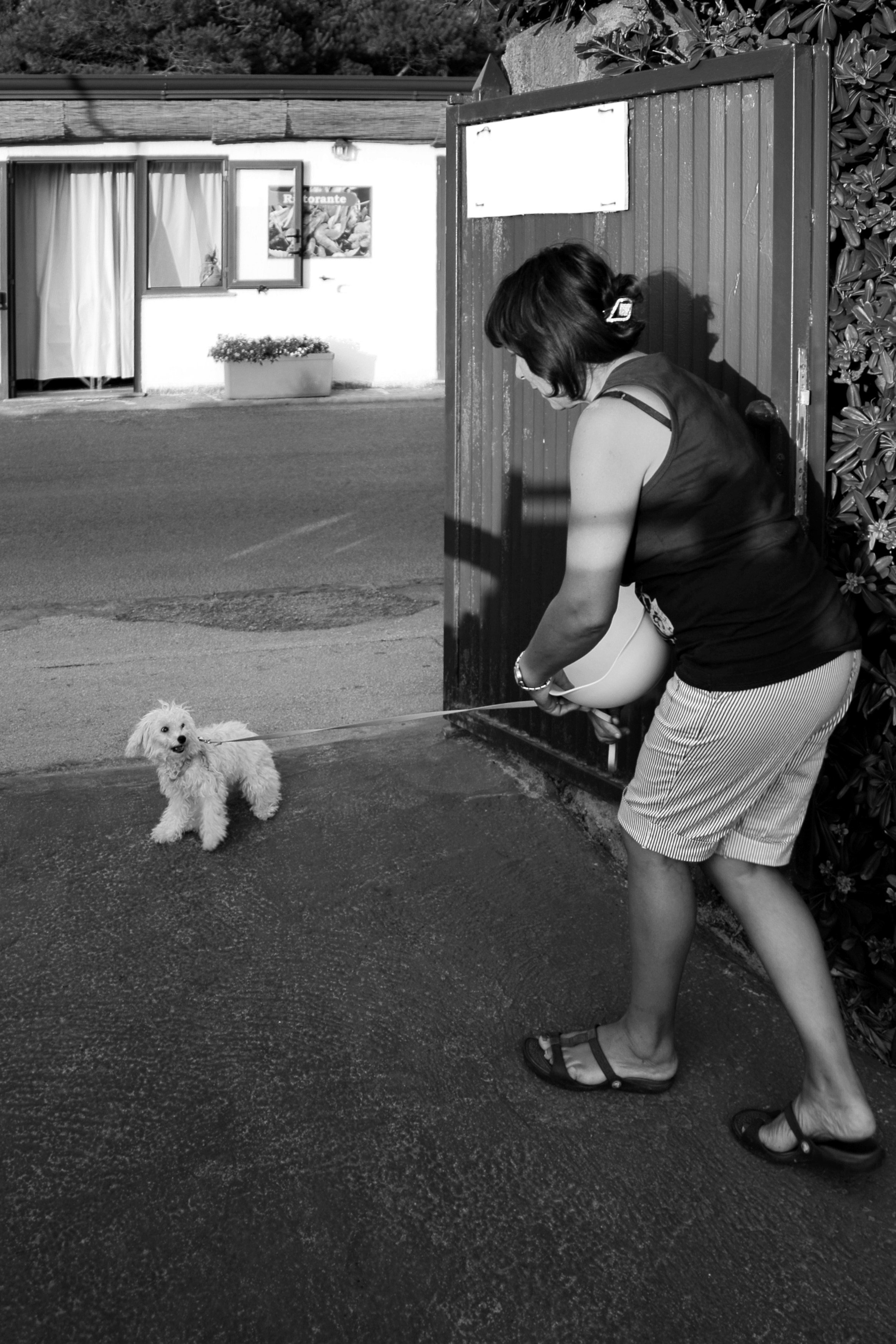 Жанр. Фотограф Лагутин Анатолий