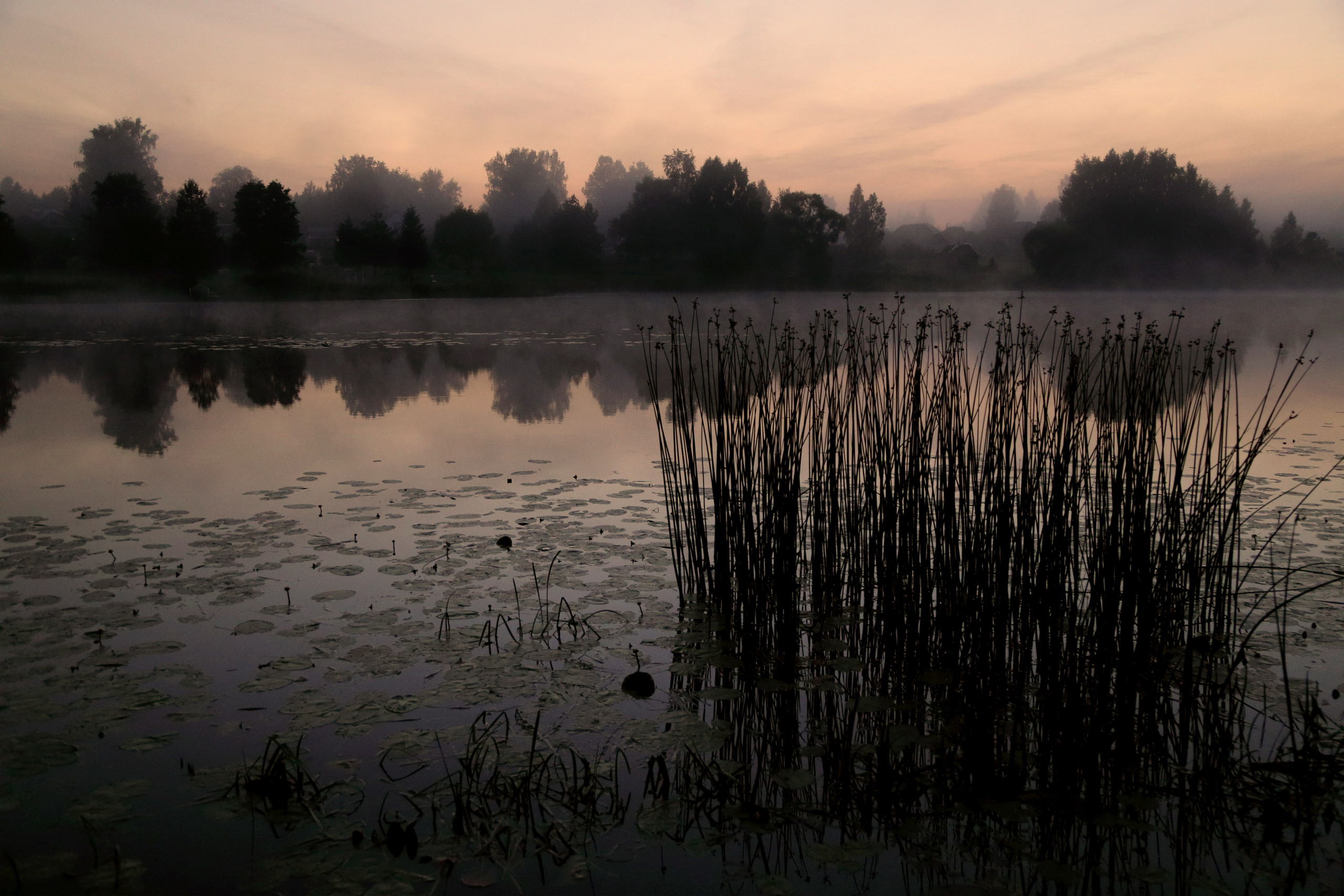 Фото. Фотограф Лагутин Анатолий