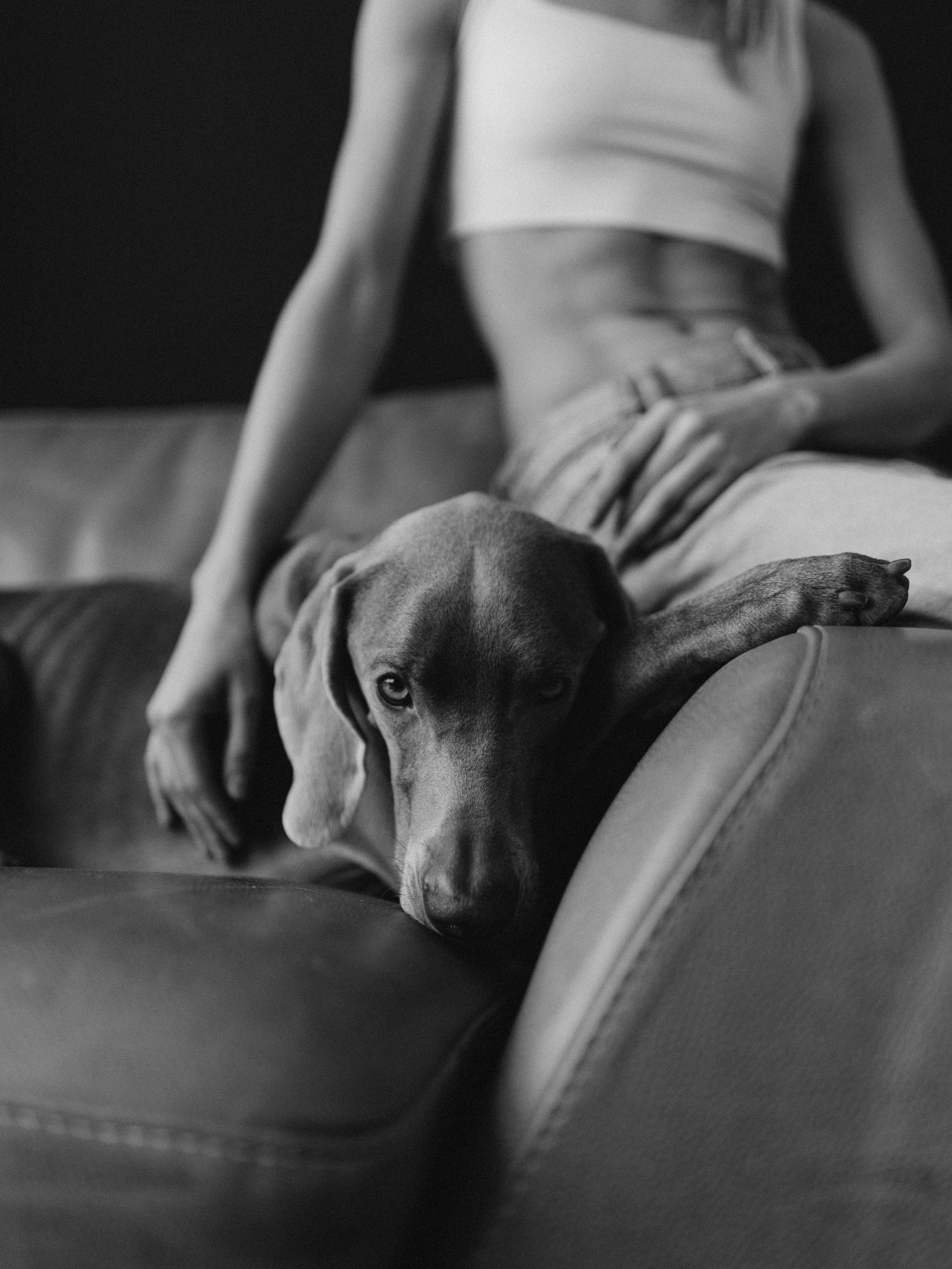 Сенча и Даша. Фотограф-анималист в Москве Кириллова Татьяна