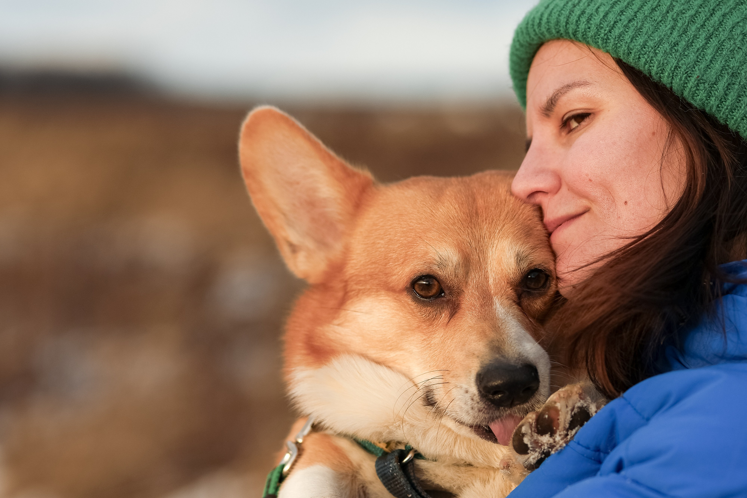 Трой, Балу и Катя. Фотограф-анималист в Москве Кириллова Татьяна