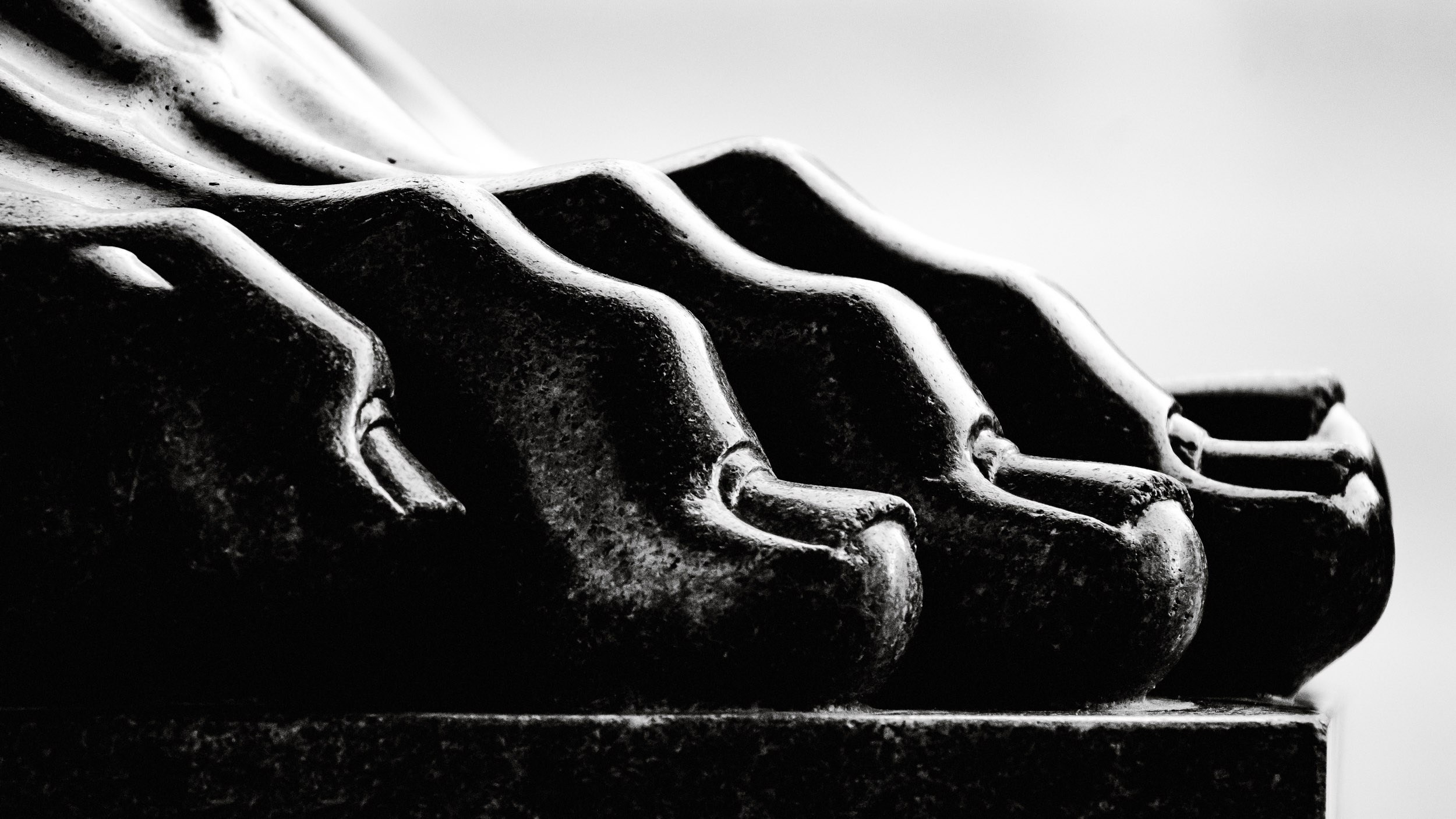 Saint Petersburg. The Andris