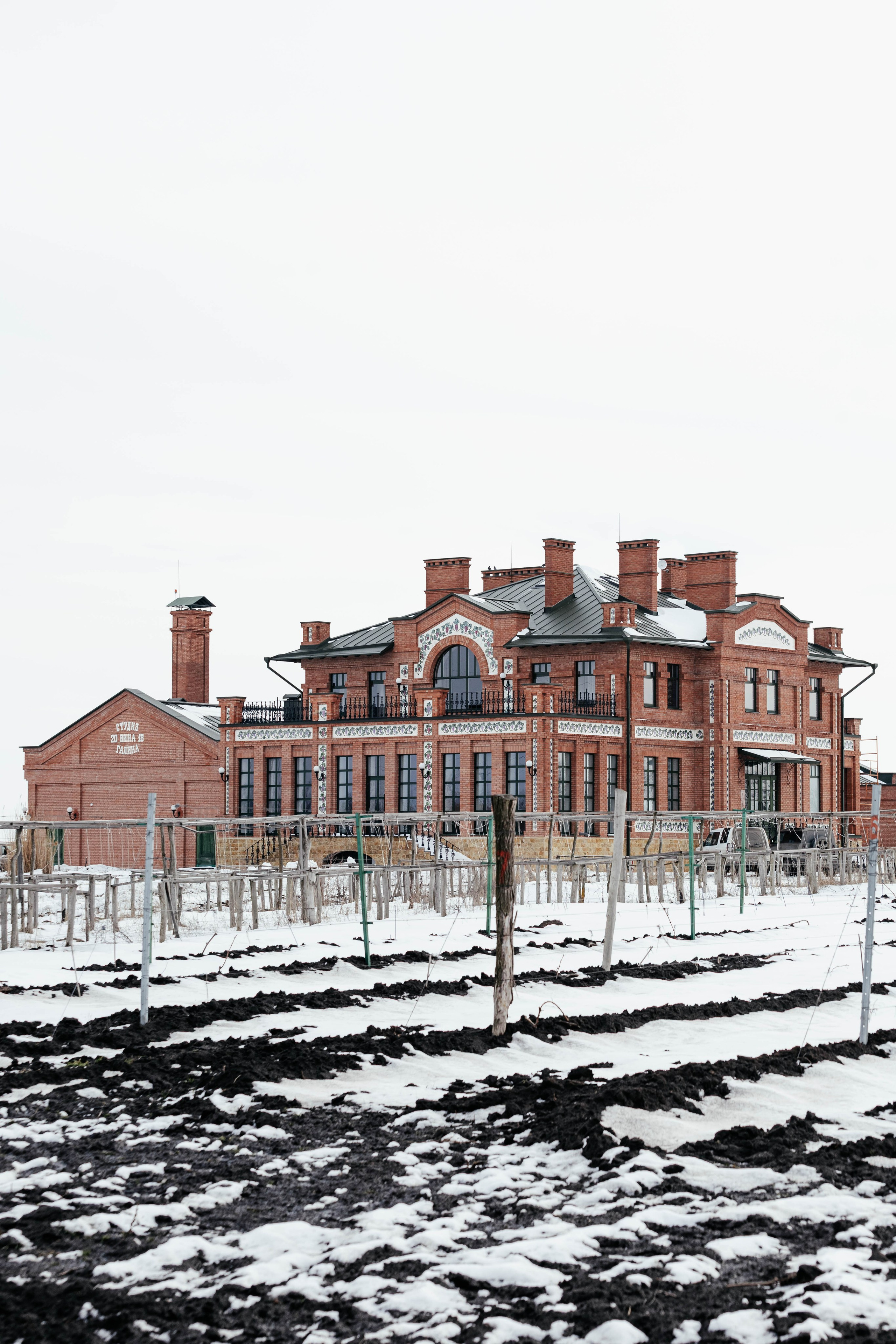 Вина Арпачина. Контент фотограф в Ростове-на-Дону Мардус Павел