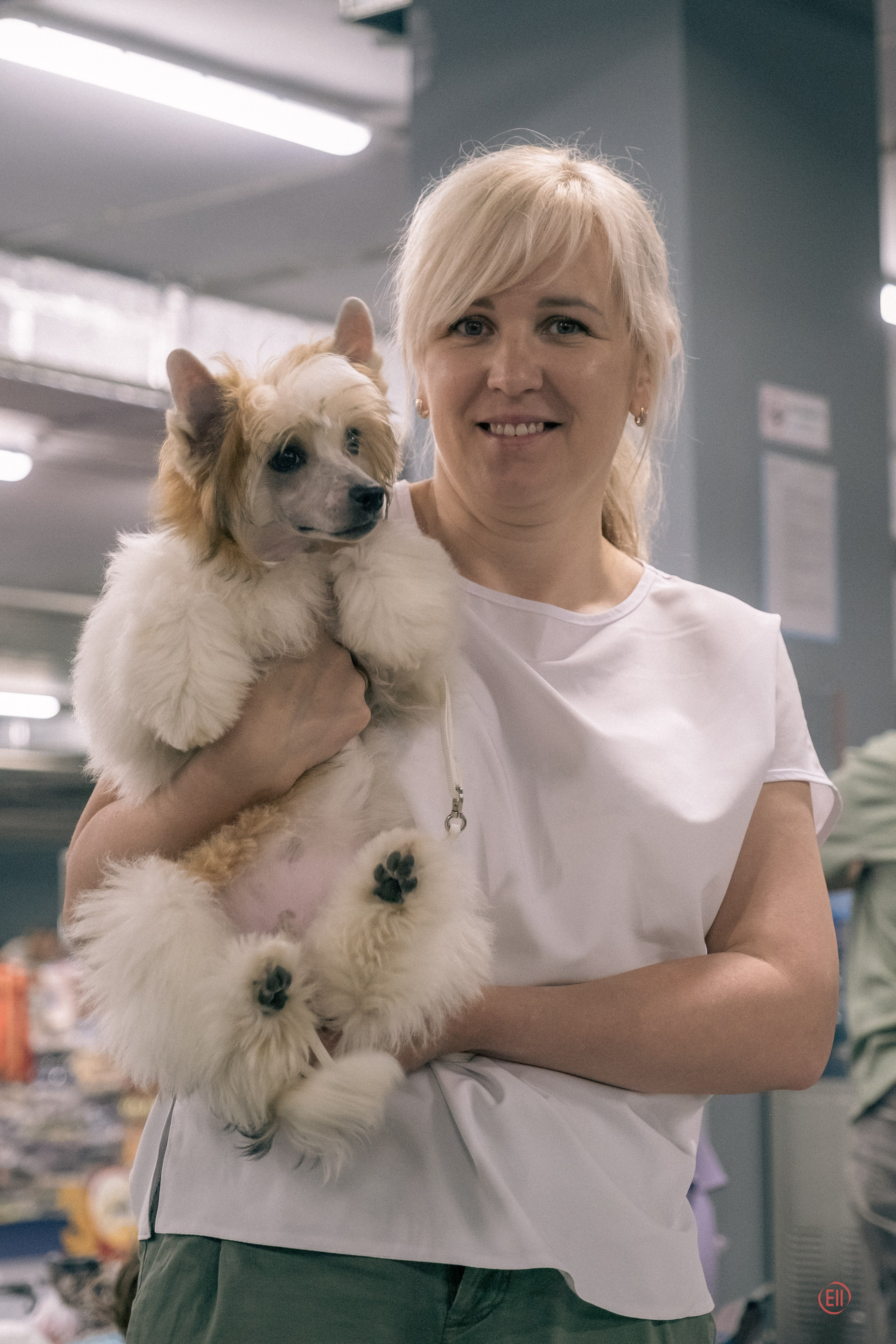 Национальная выставка китайских хохлатых собак 2023. Питомник китайских хохлатых собак Poale Ell: купить щенка