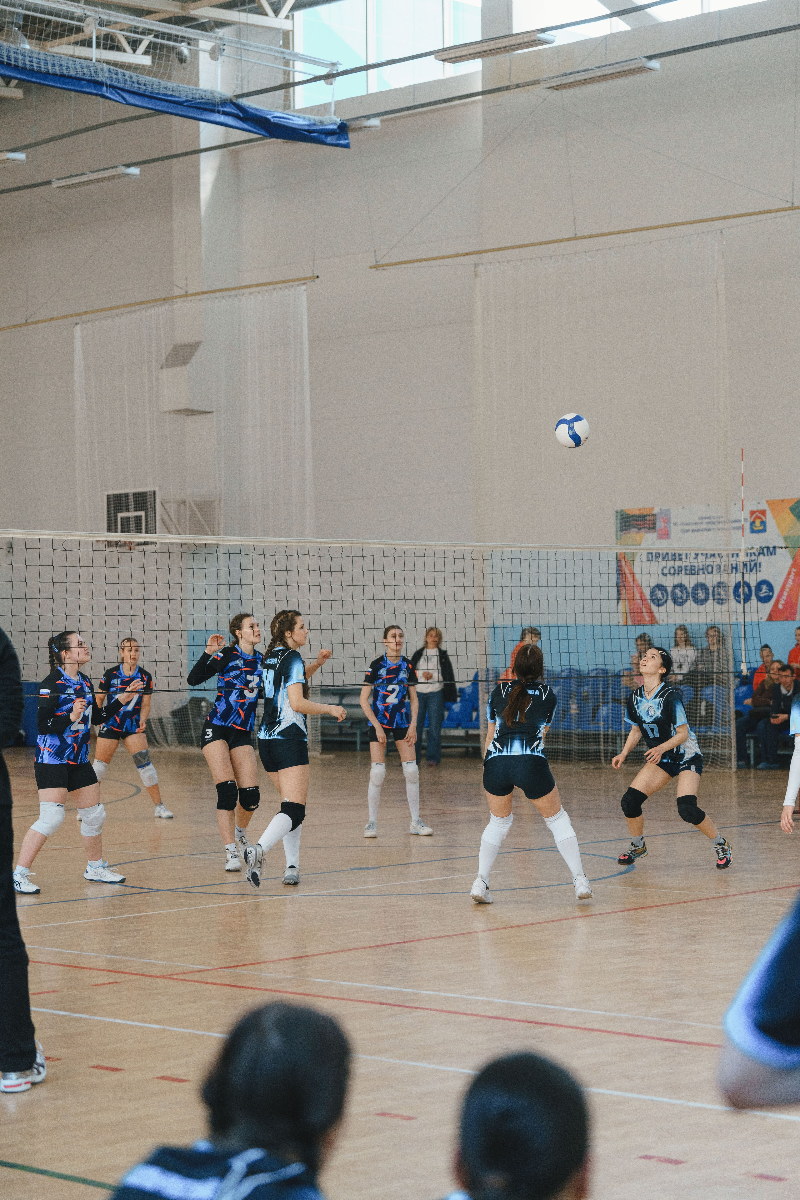 Волейбол торус. Фотограф-анималист в Санкт-Петербурге