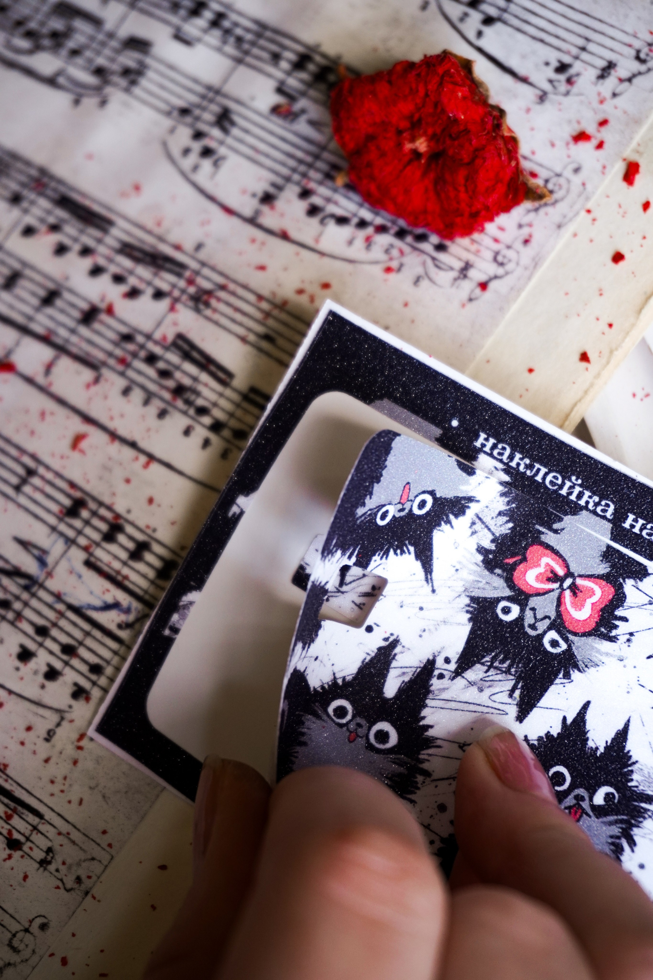 Канцелярия. Кузнецова Мария — профессиональный фотограф в Санкт-Петербурге | Предметная фотосъёмка, модельные тесты, актёрское портфолио, концерты