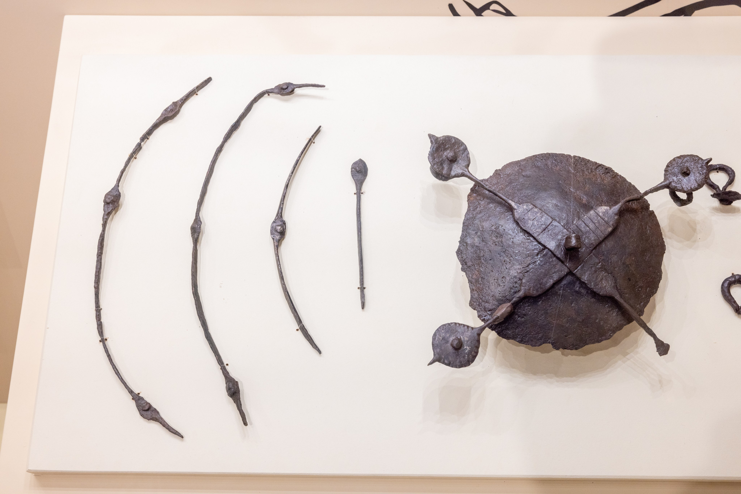 Поездка на поле Кулеково. Фотограф в Туле Крупский АнДРей. Фотостудия «КАДР71» в Туле