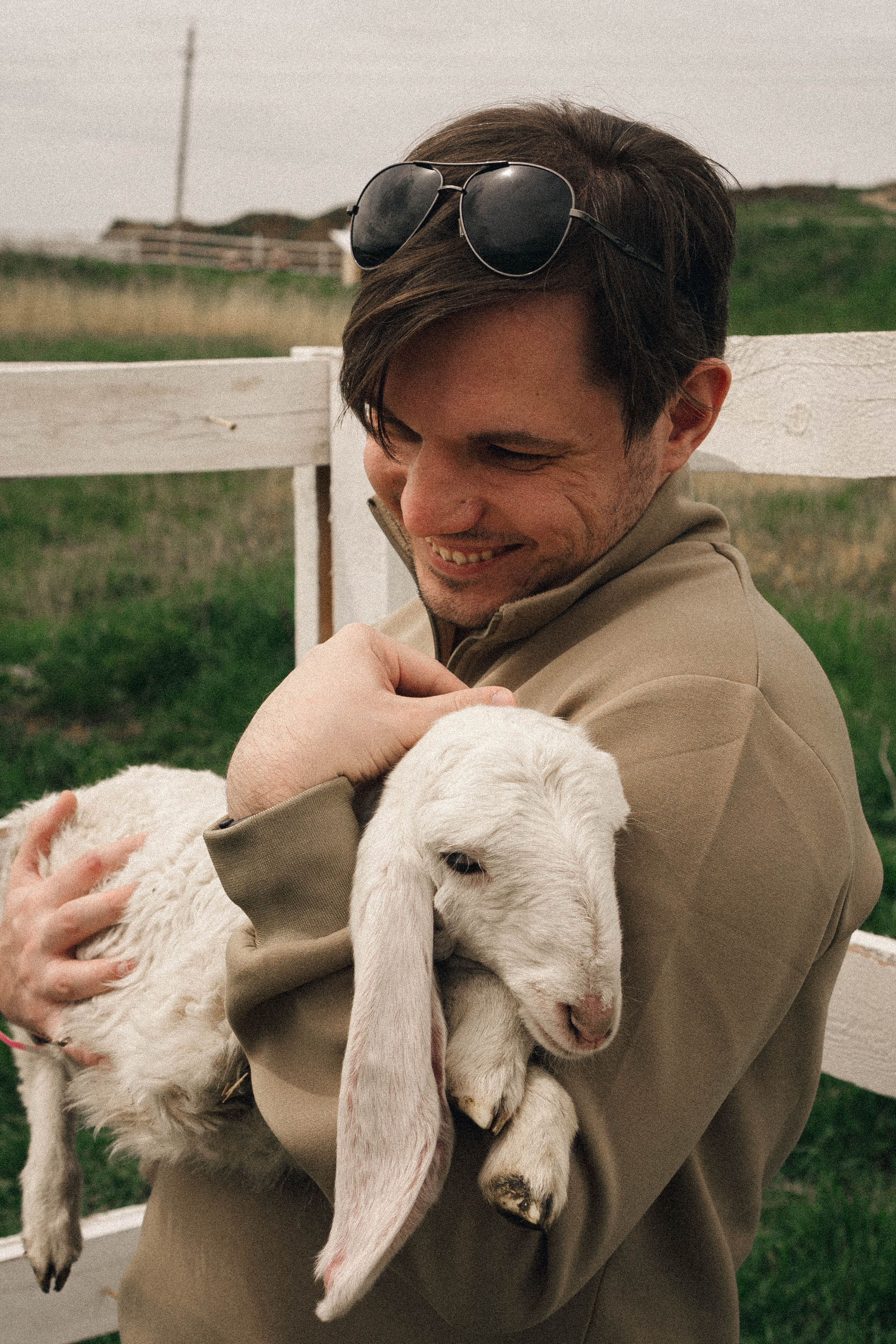 Ферма Альпак. Профессиональный фотограф, Санкт-Петербург — Виктория Богомолова