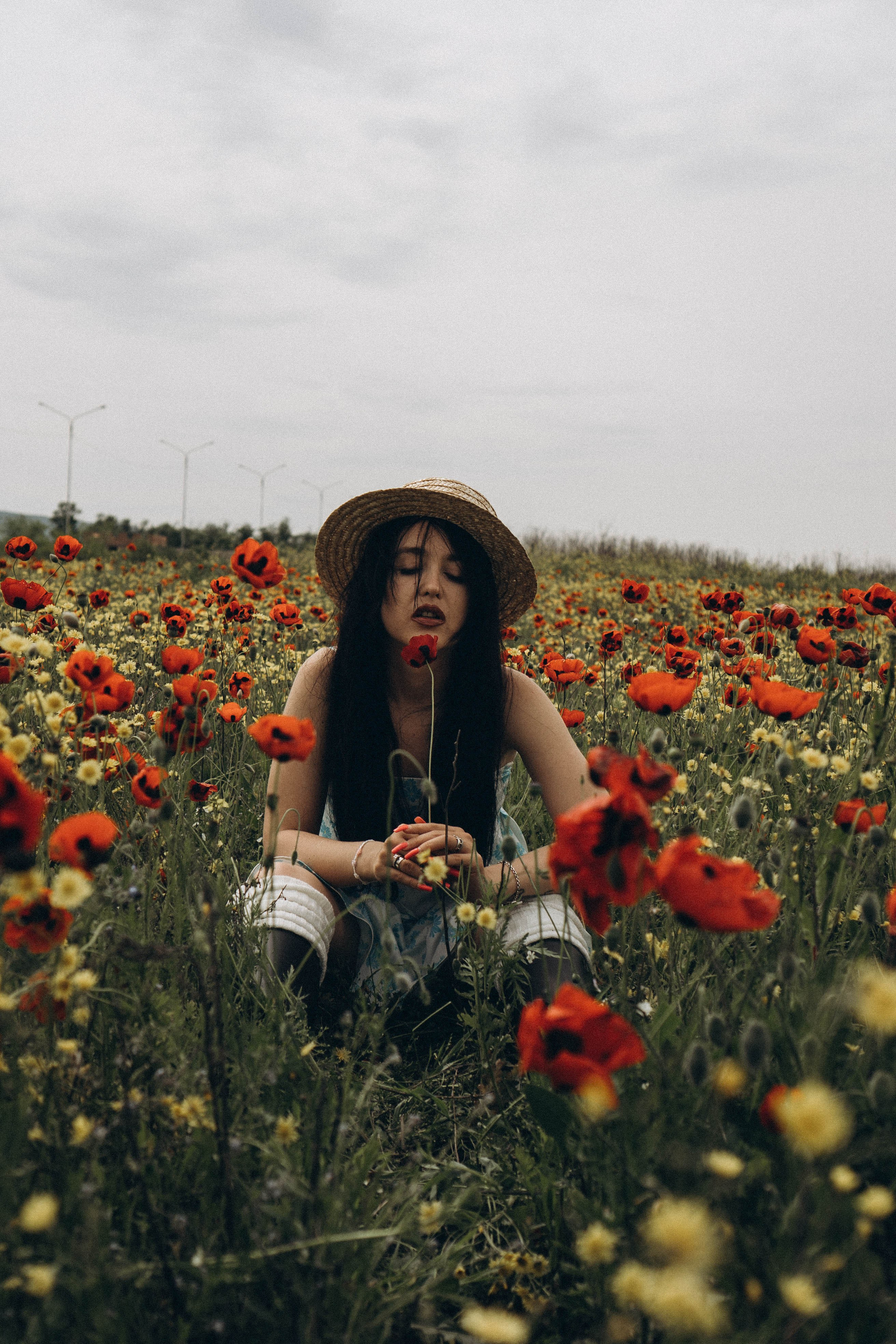 Цветочная поляна. Профессиональный фотограф, Санкт-Петербург — Виктория Богомолова