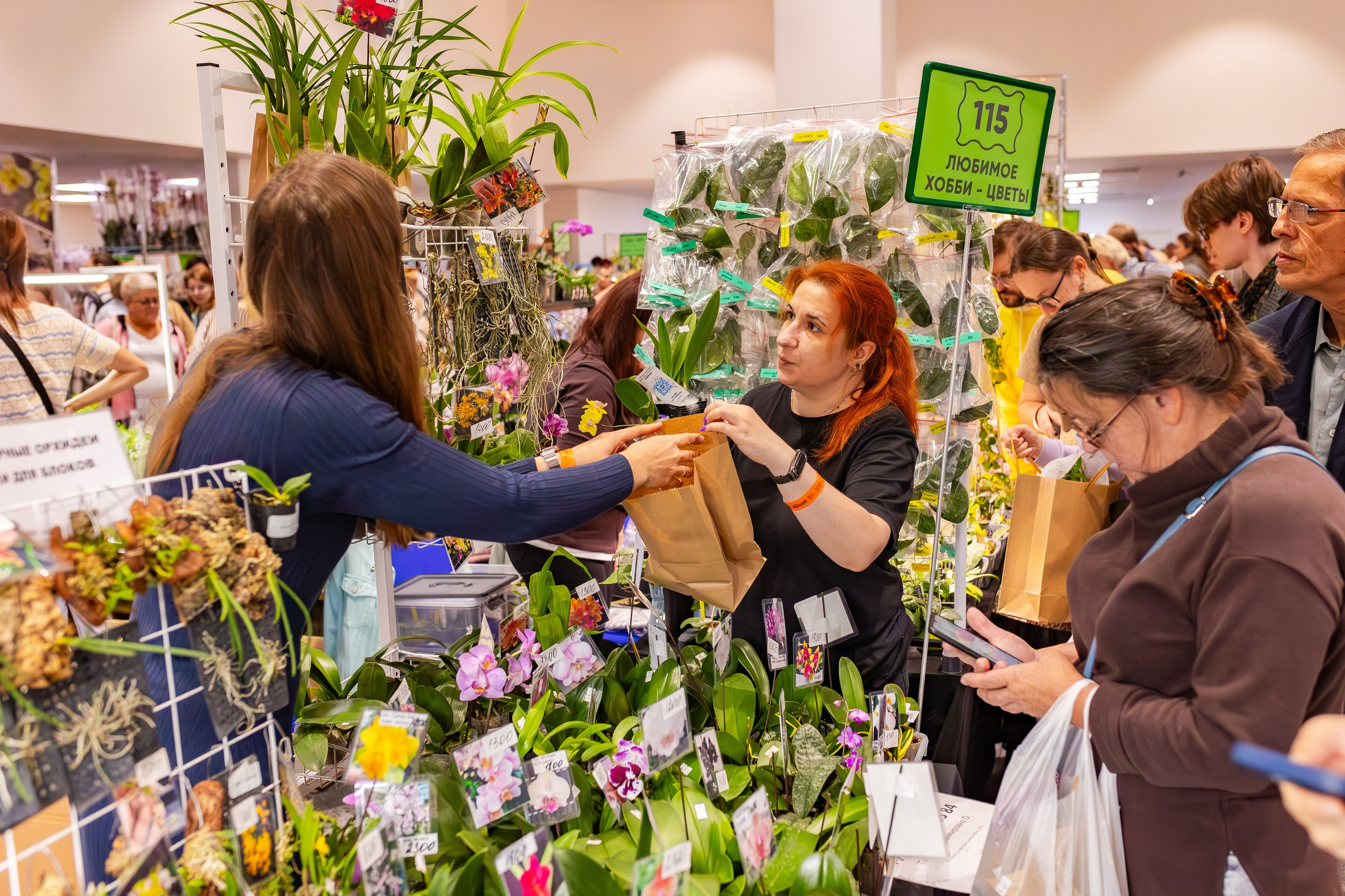 Орхидиум сентябрь 2025. Александра Куликова фотограф, Москва