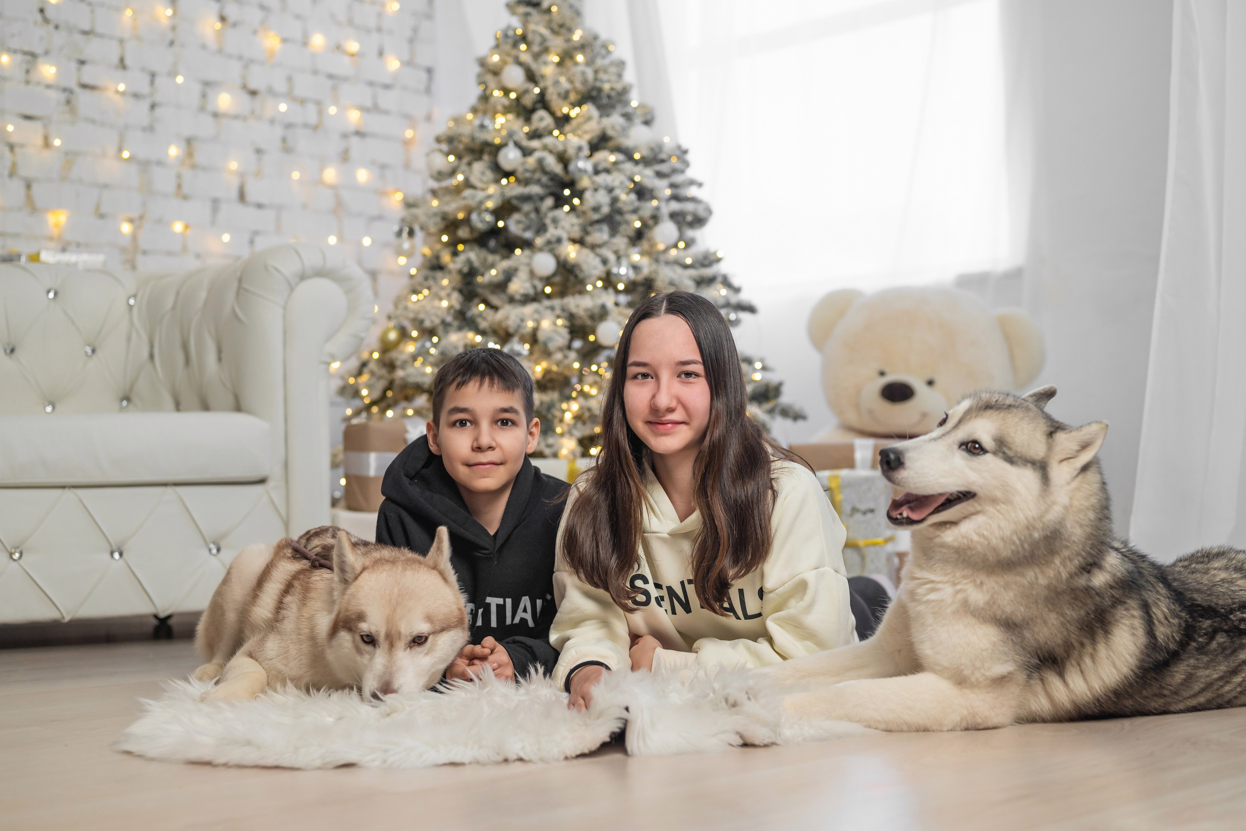 Фотопроект с хаски. Фотограф в городе Салават